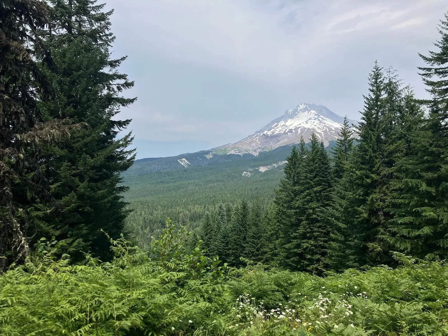 🏔️🚠🐟 The Alpine slide!!! And Mirror Lake!