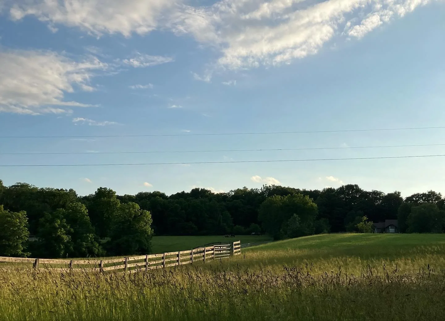 June with the Merrimans! 😍☀️⚾️🐴🌳