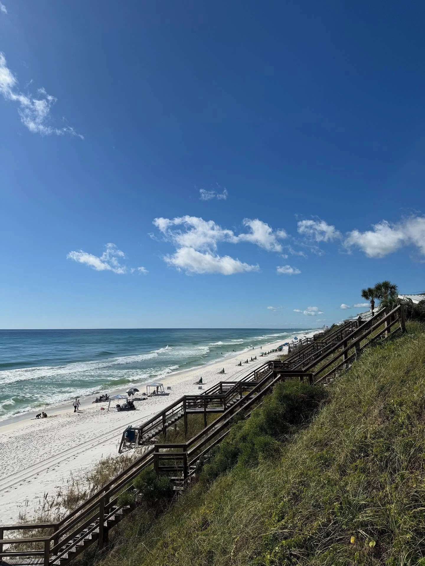 Both coasts in one week! So much love between them! 💚💚💚