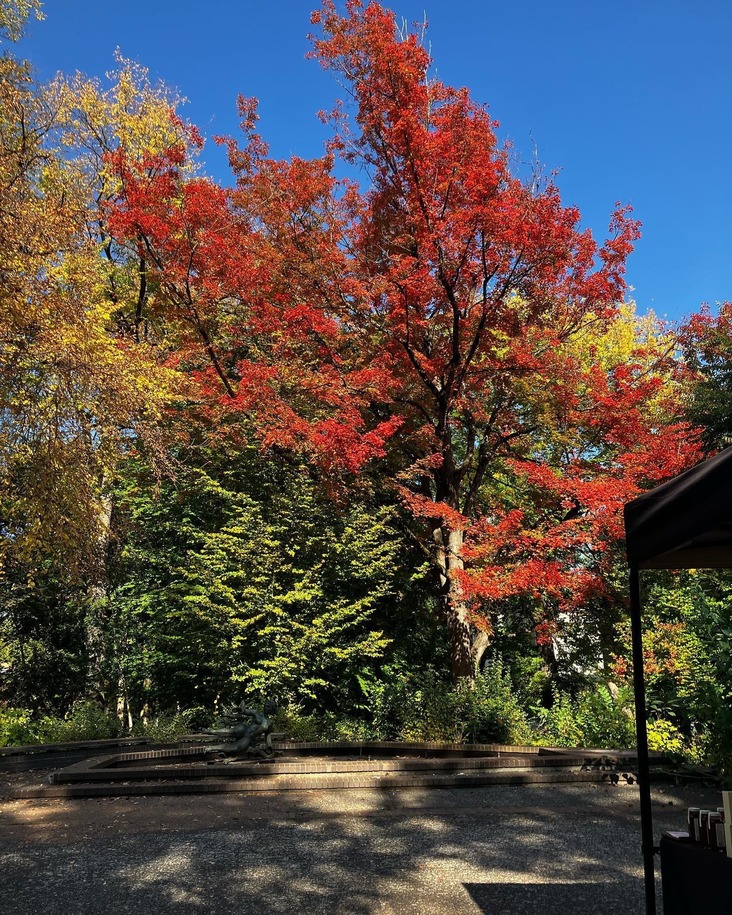 🍁🍂🍁🍂🍁🍂