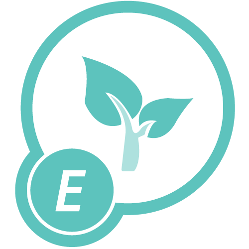 Icon-Strive-Evolution.png