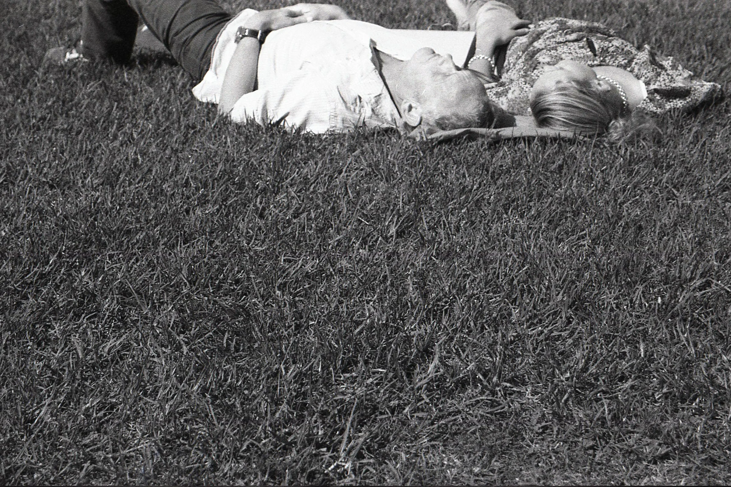 People on grass.jpg