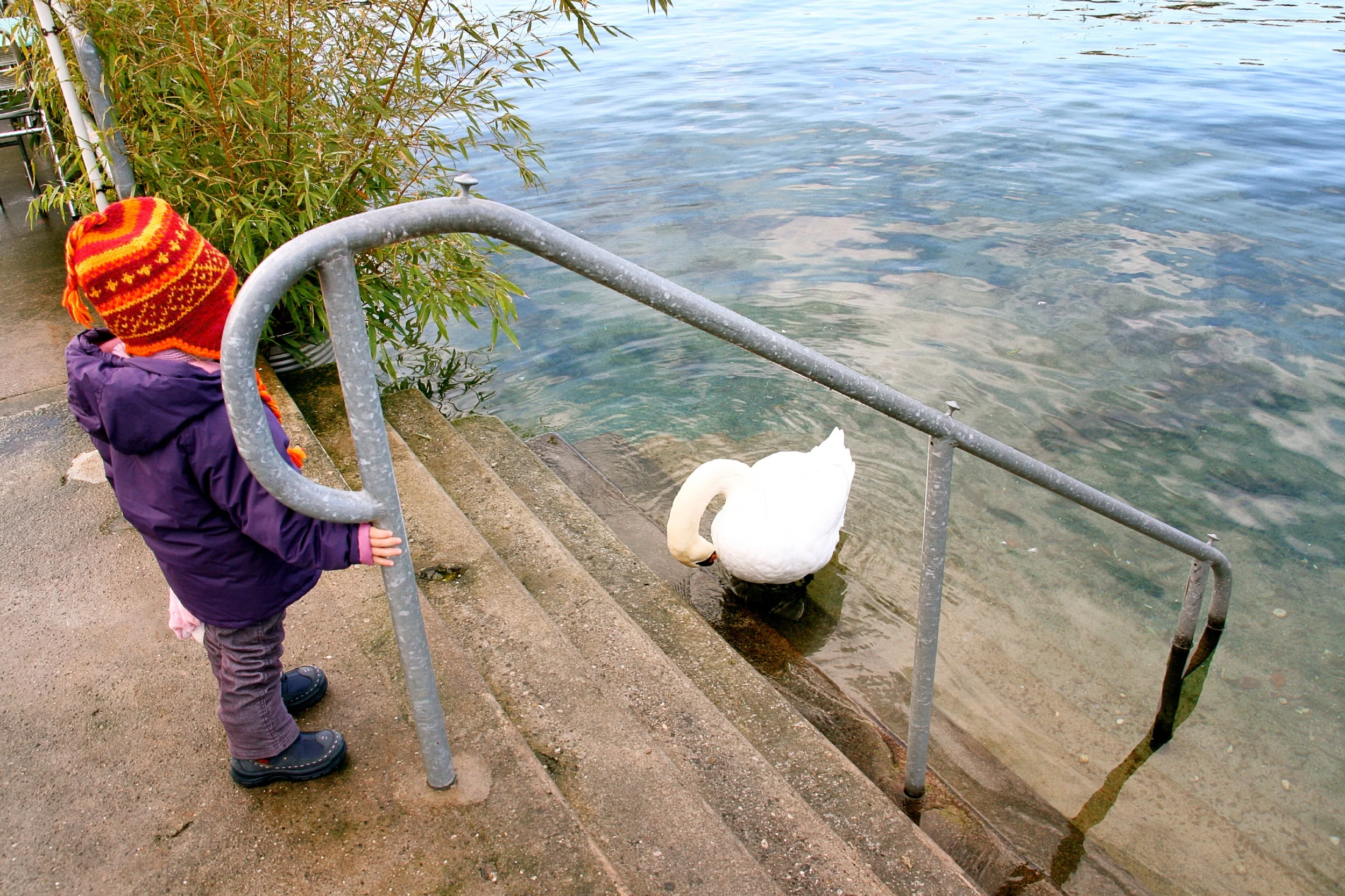 Kid's fun at the lake