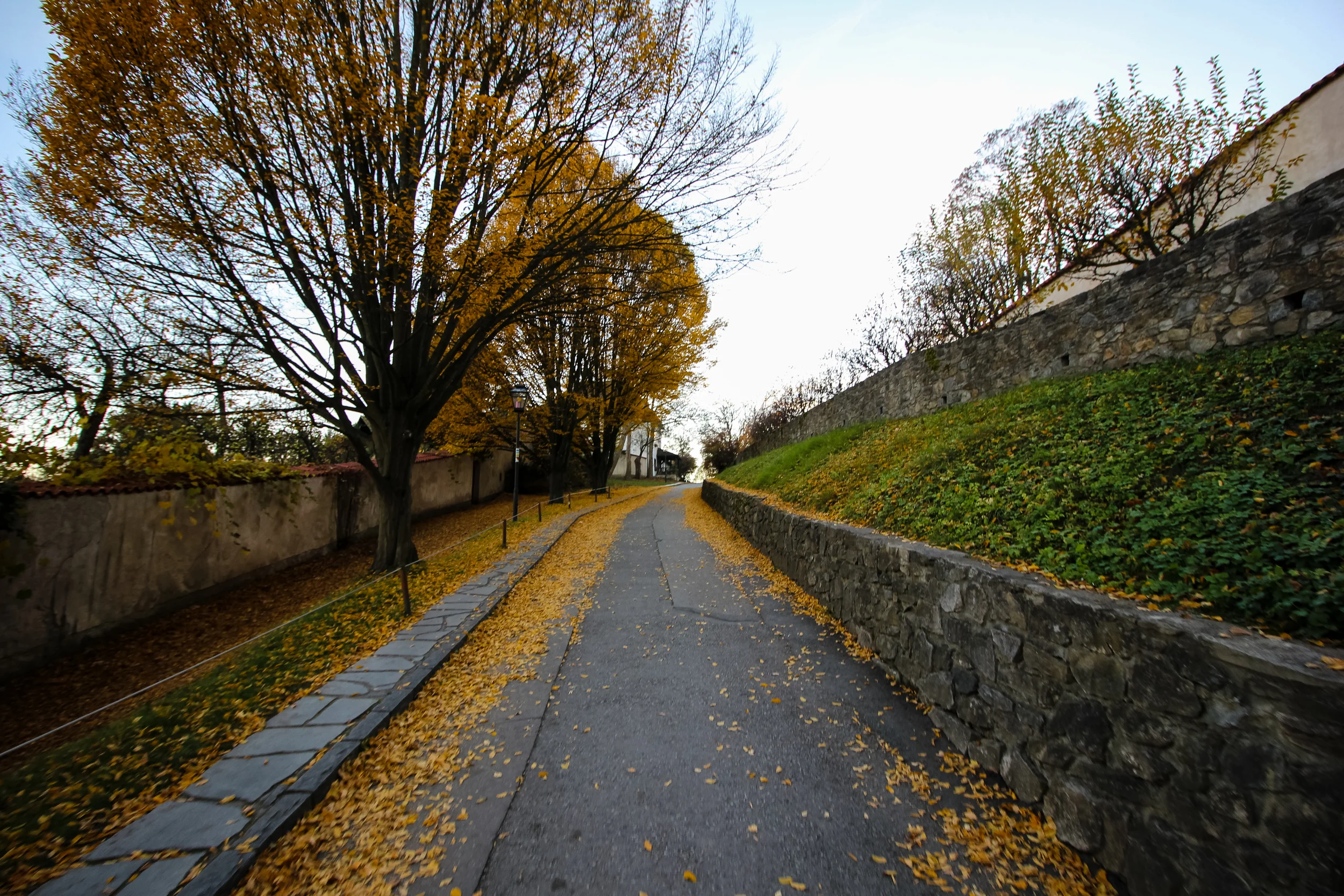 Pathways...