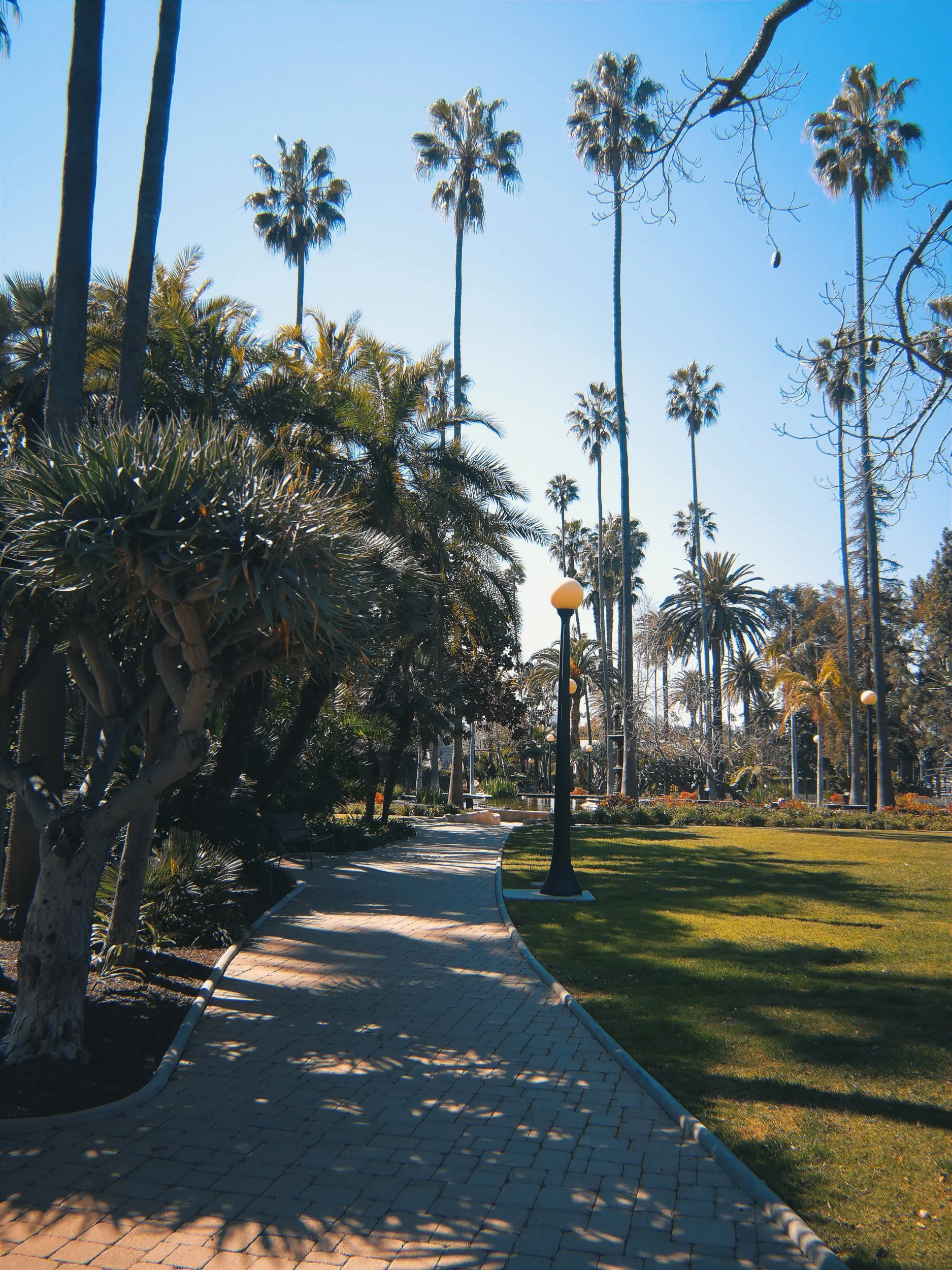 Will Rogers Memorial Park