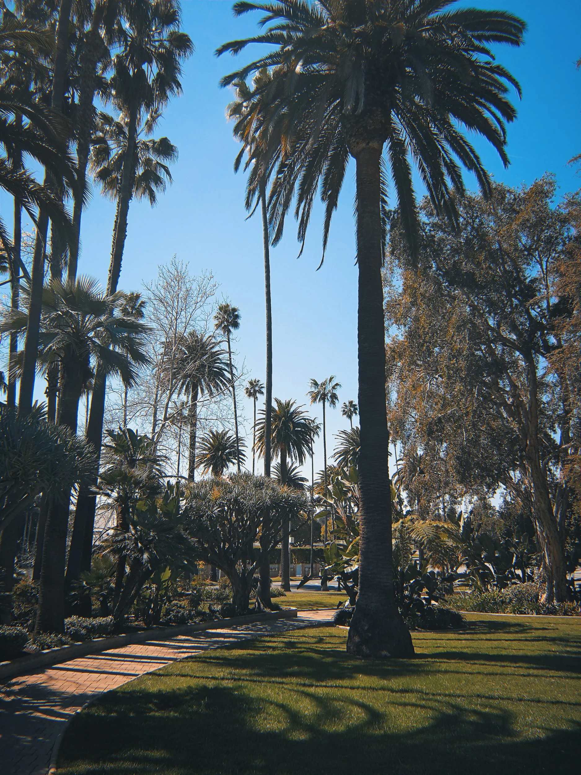 Will Rogers Memorial park