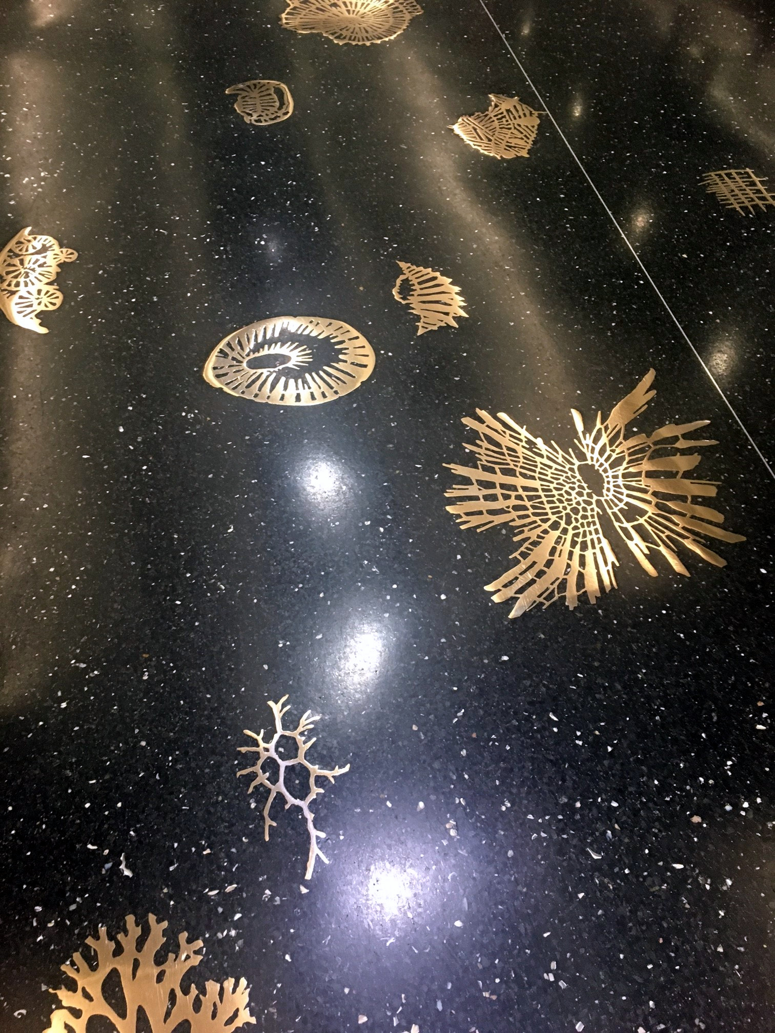 Miami Airport / floor detail
