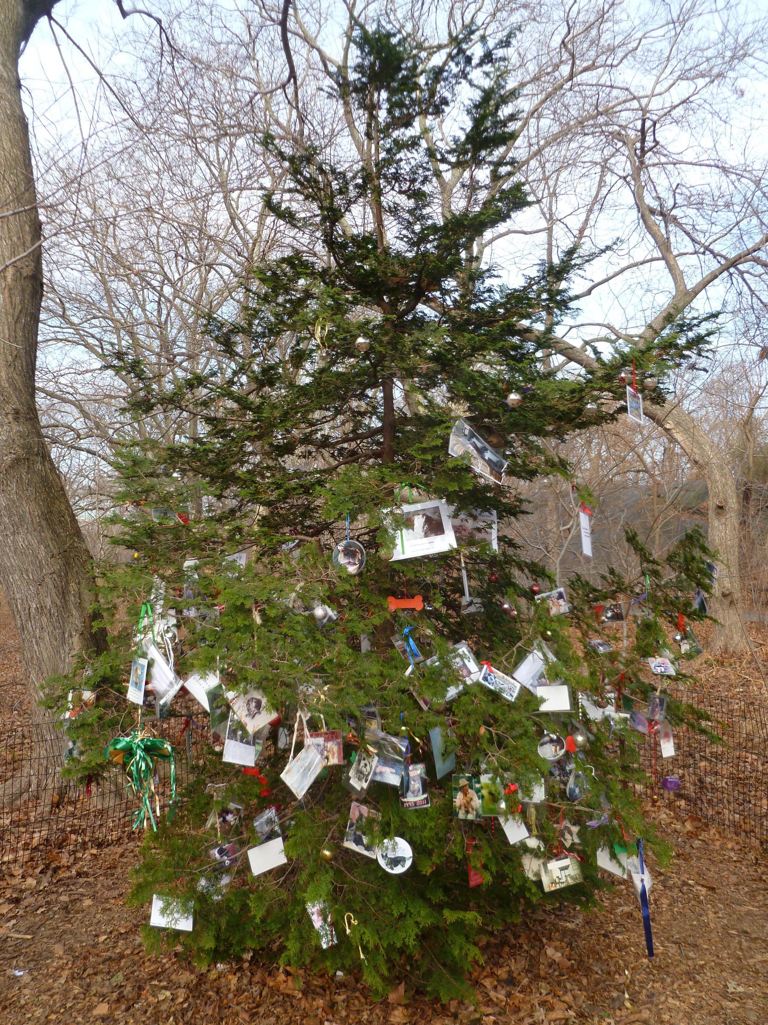 Pet Lovers Christmas Tree