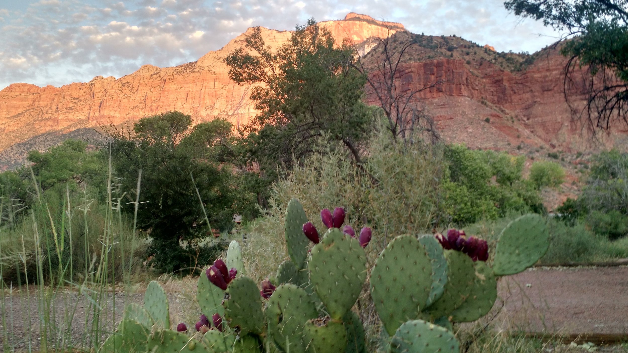 Zion National Park