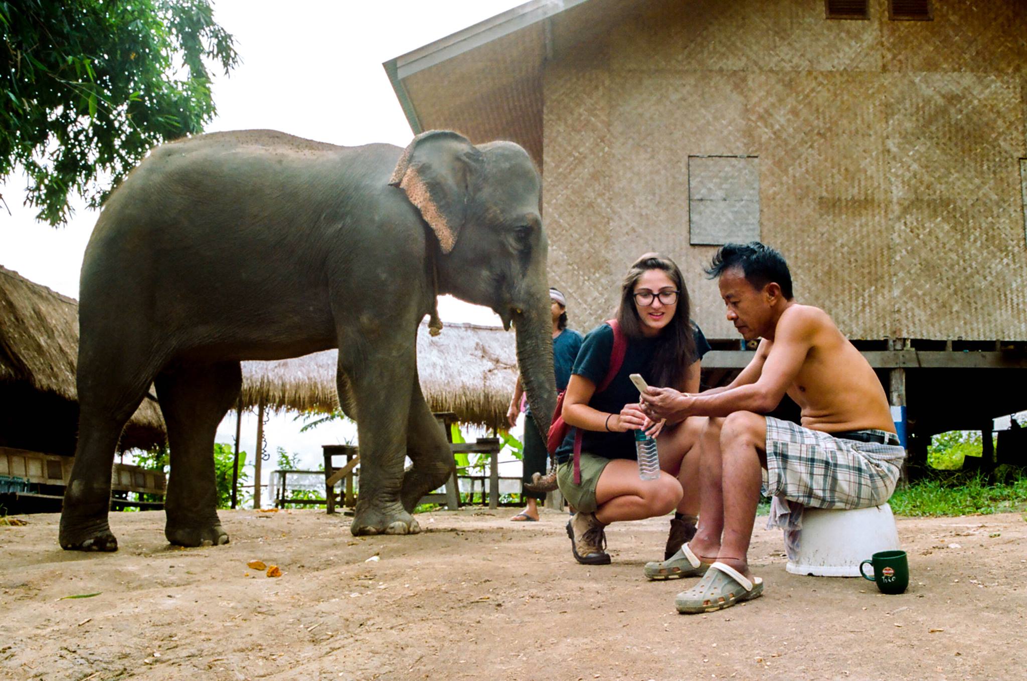 Chiang Mai, Thailand - Retired Elephant Park / Photo by Ryan Nocella