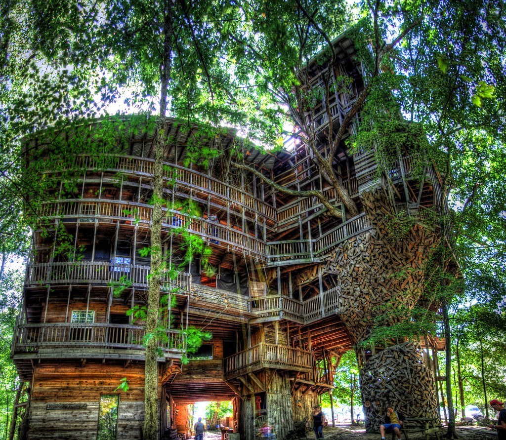 Worlds Tallest Tree house.jpg