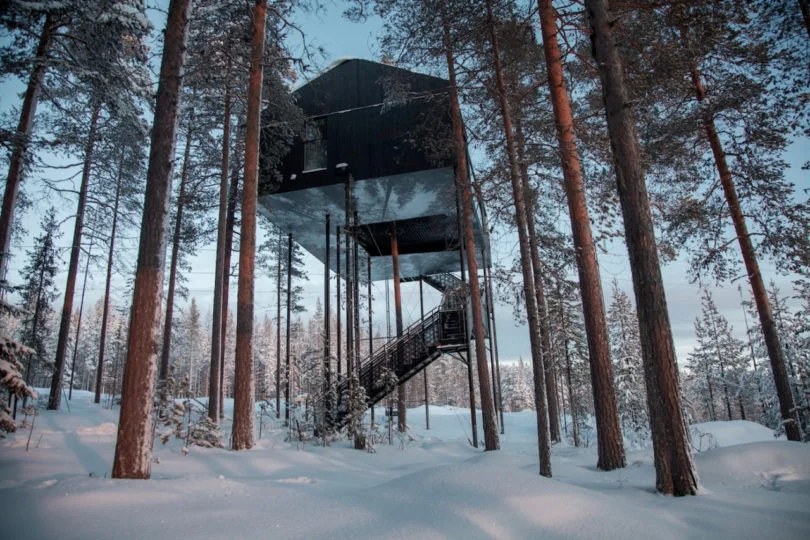 Tree Hotel.jpg