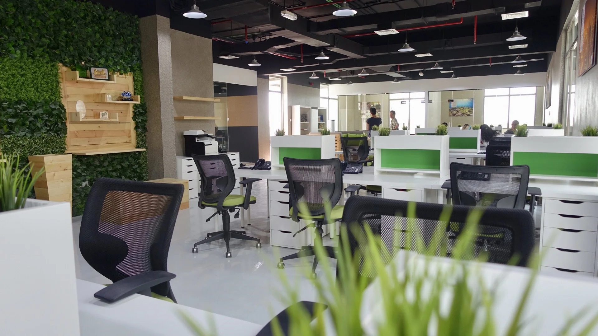 World Wildlife Fund WWF Office - Dubai