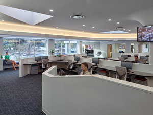 The Organic Workspace of EarthCam’s Headquarters in NJ