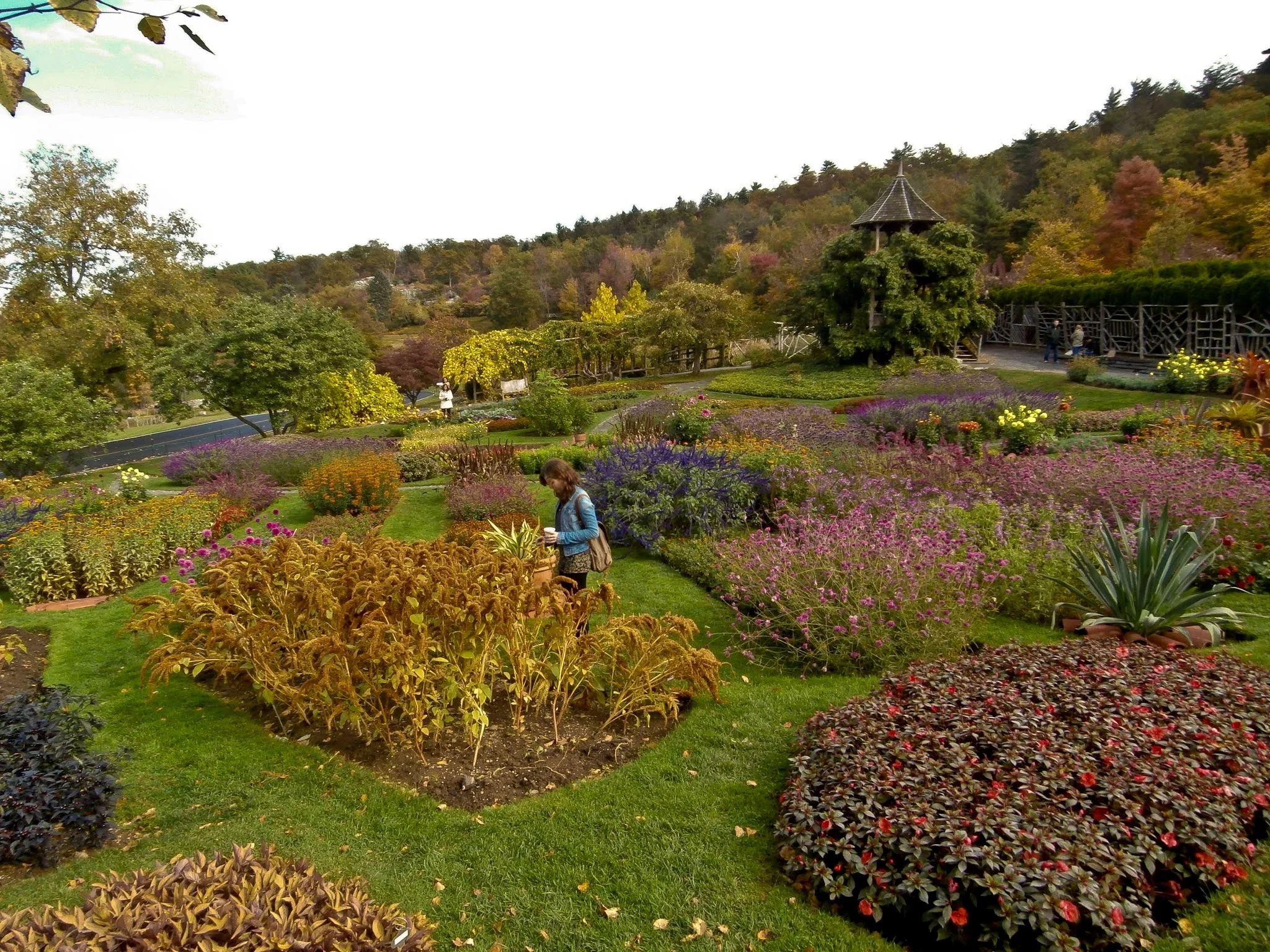 PA110018.jpg