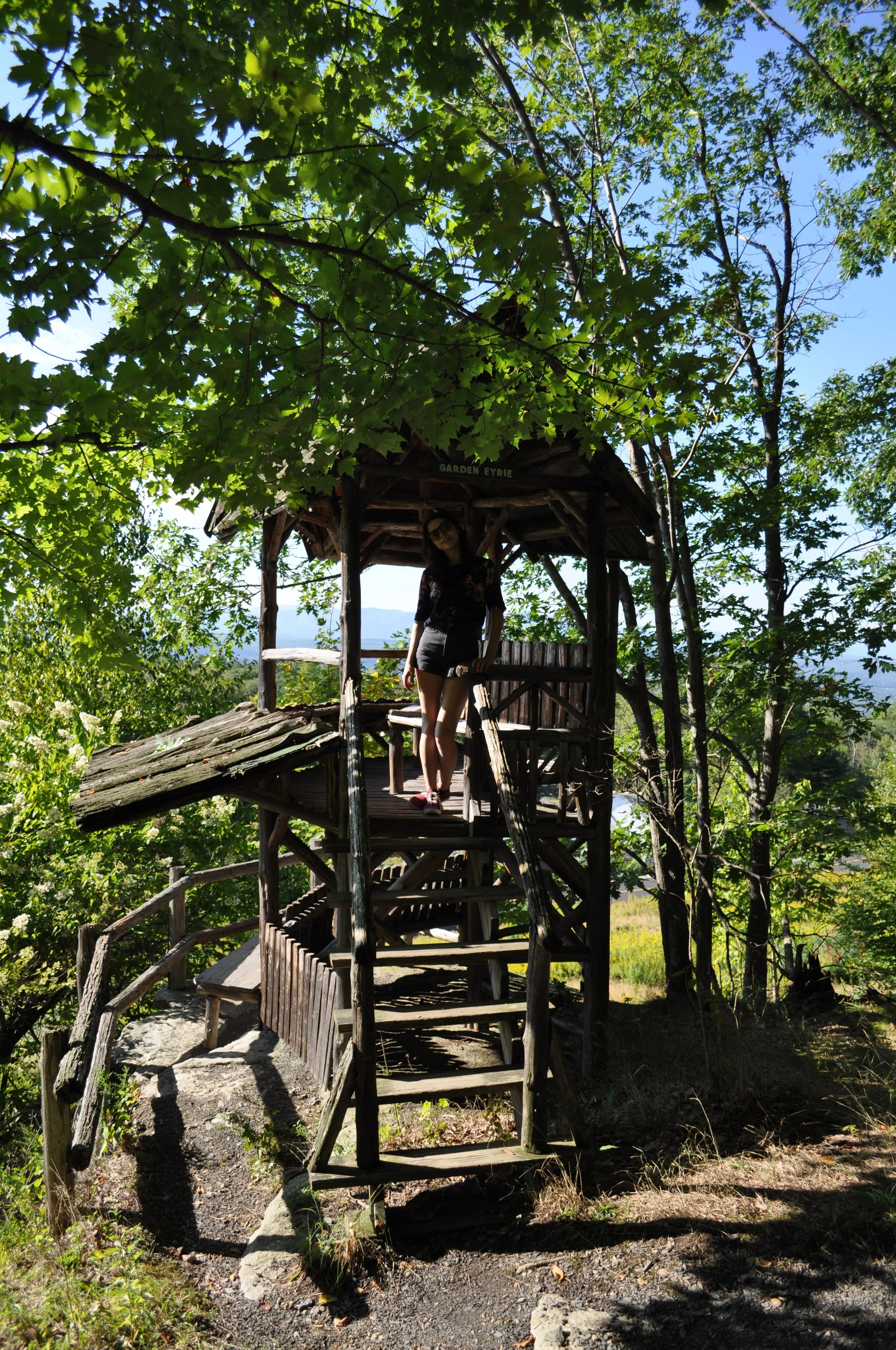 DSC_0264.jpg