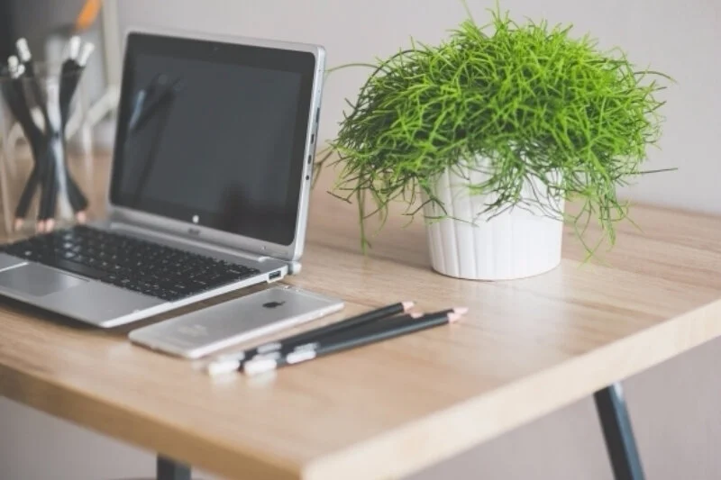 Look to Nature to Create a Healthy Workplace