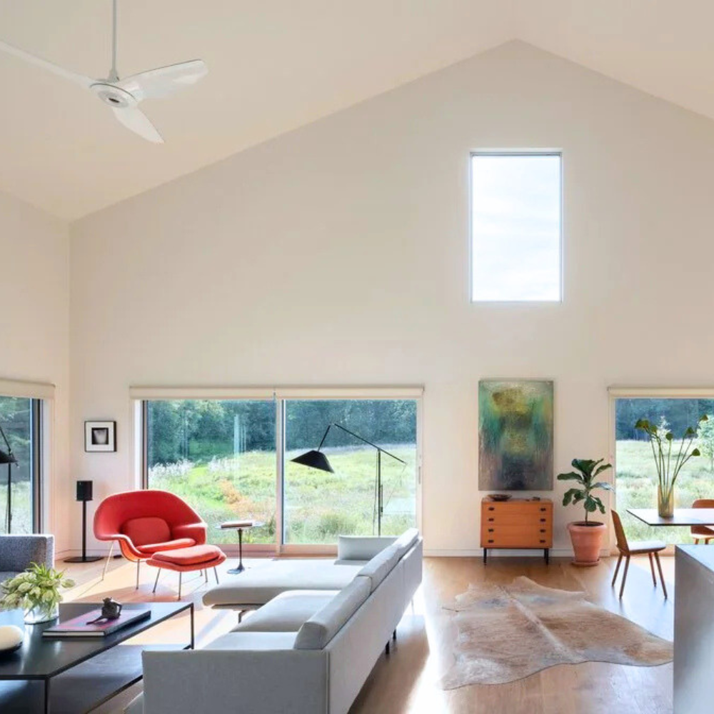 The Longevity Home Products That (Actually) Work