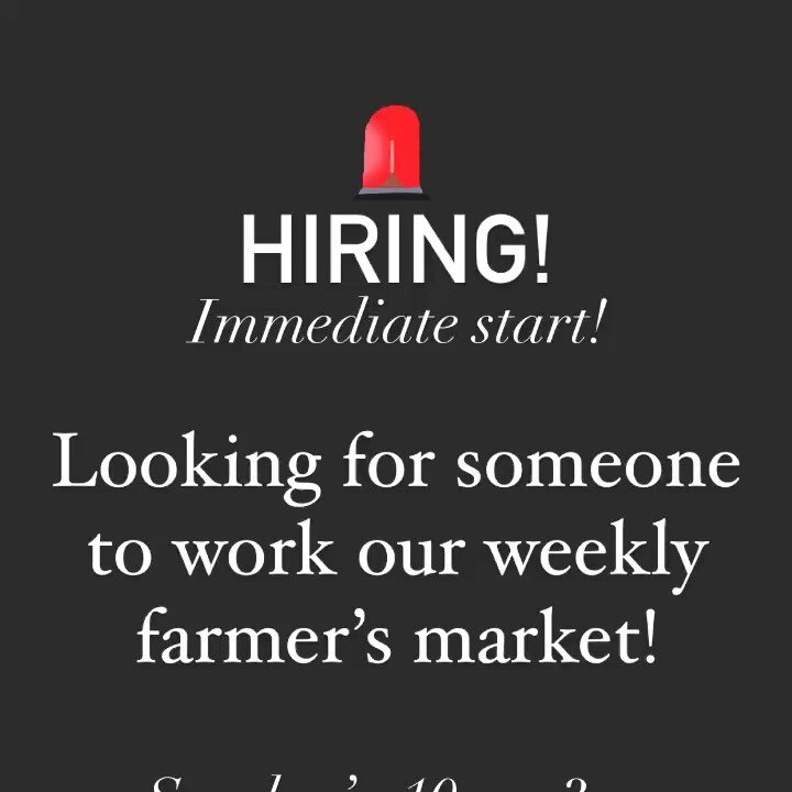 🚨DM us if you know anyone or are interested!🚨 Swipe ⬅️ for deets. #hiring #workinwine #maidenandliberty #localbiz #familyrun