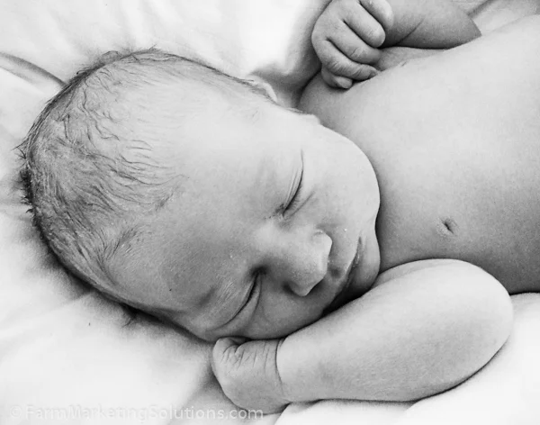 farm baby-59