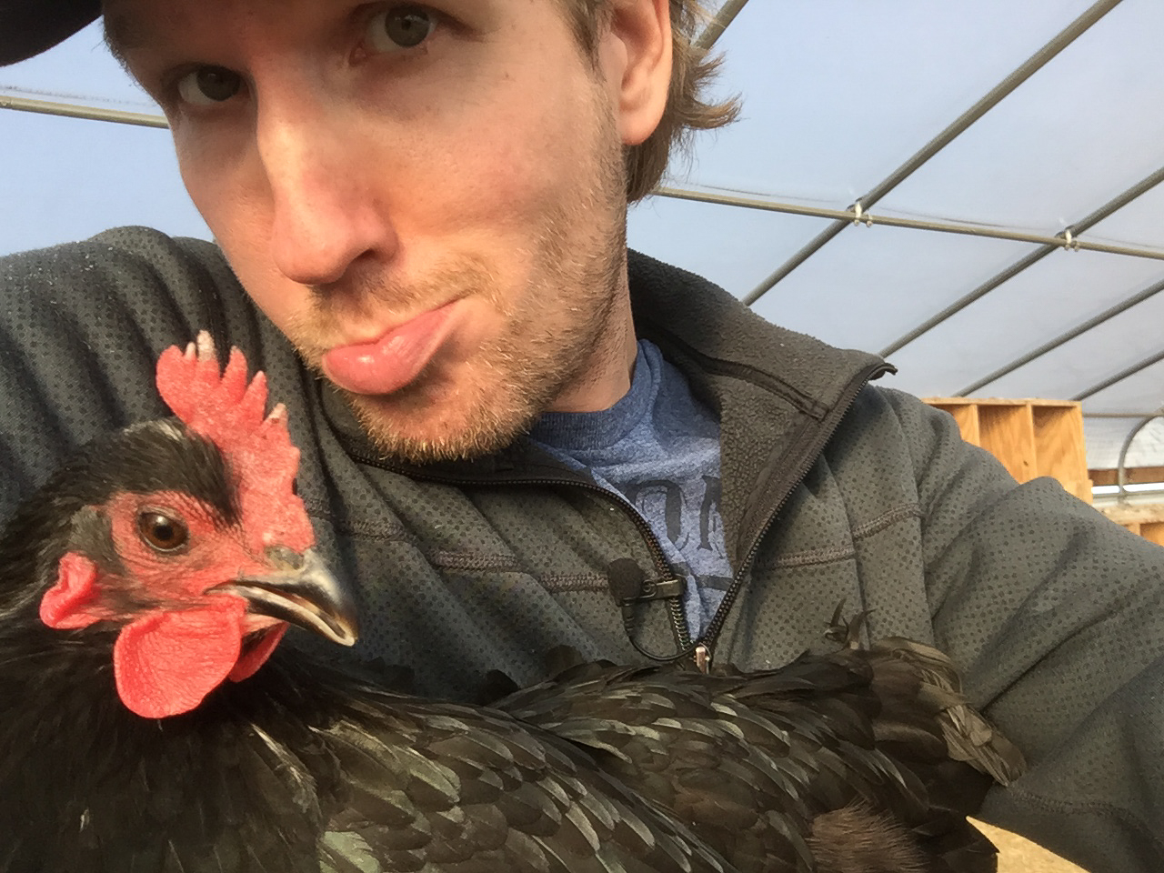 Chicken beak meets duck mouth