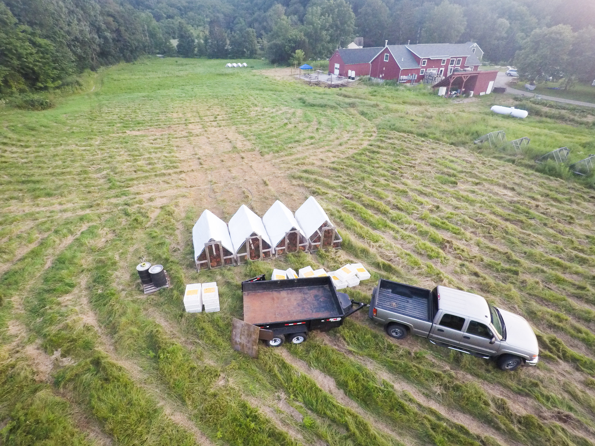  While all the brewery building was going on we were still growing chickens and operating the farm. 