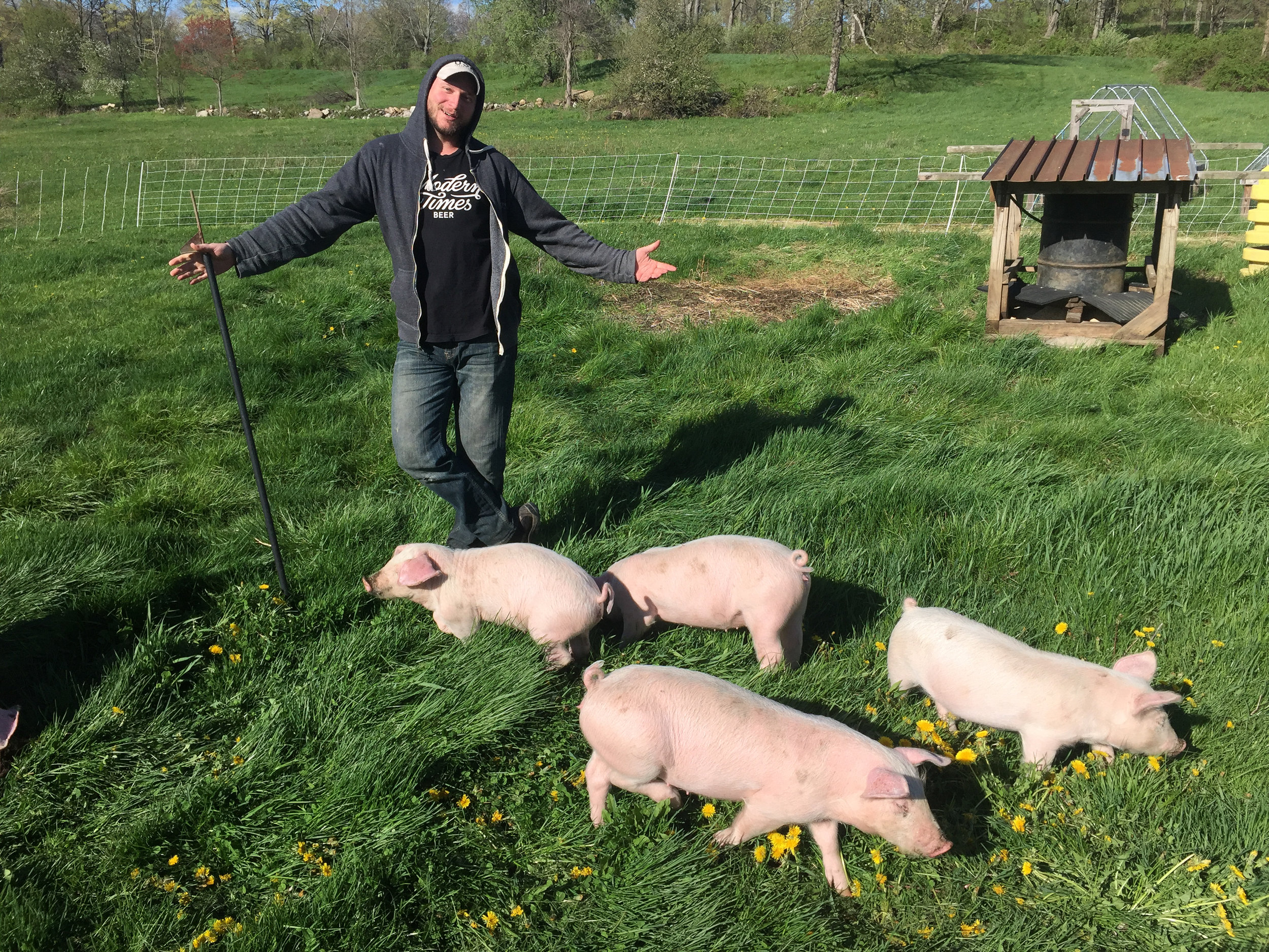  I was short staffed, so when it was time to move pigs our Assistant Brewer Zach came and lent a hand. 