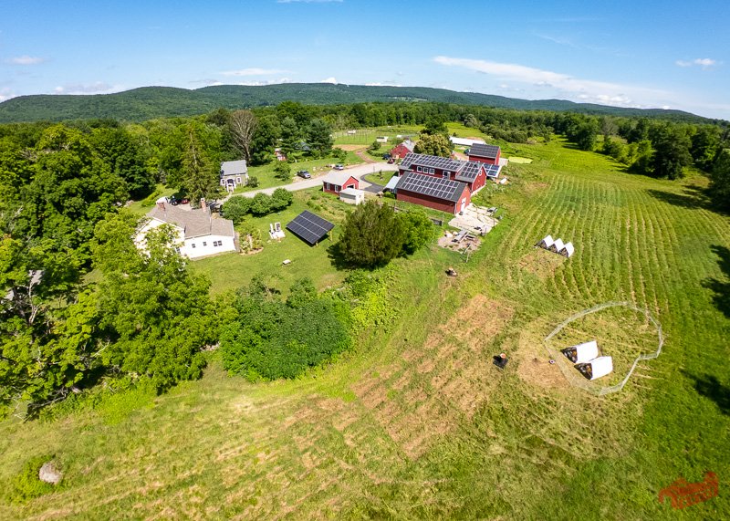 drone photo of suscovich chicken tractors moving through the pasture.jpg