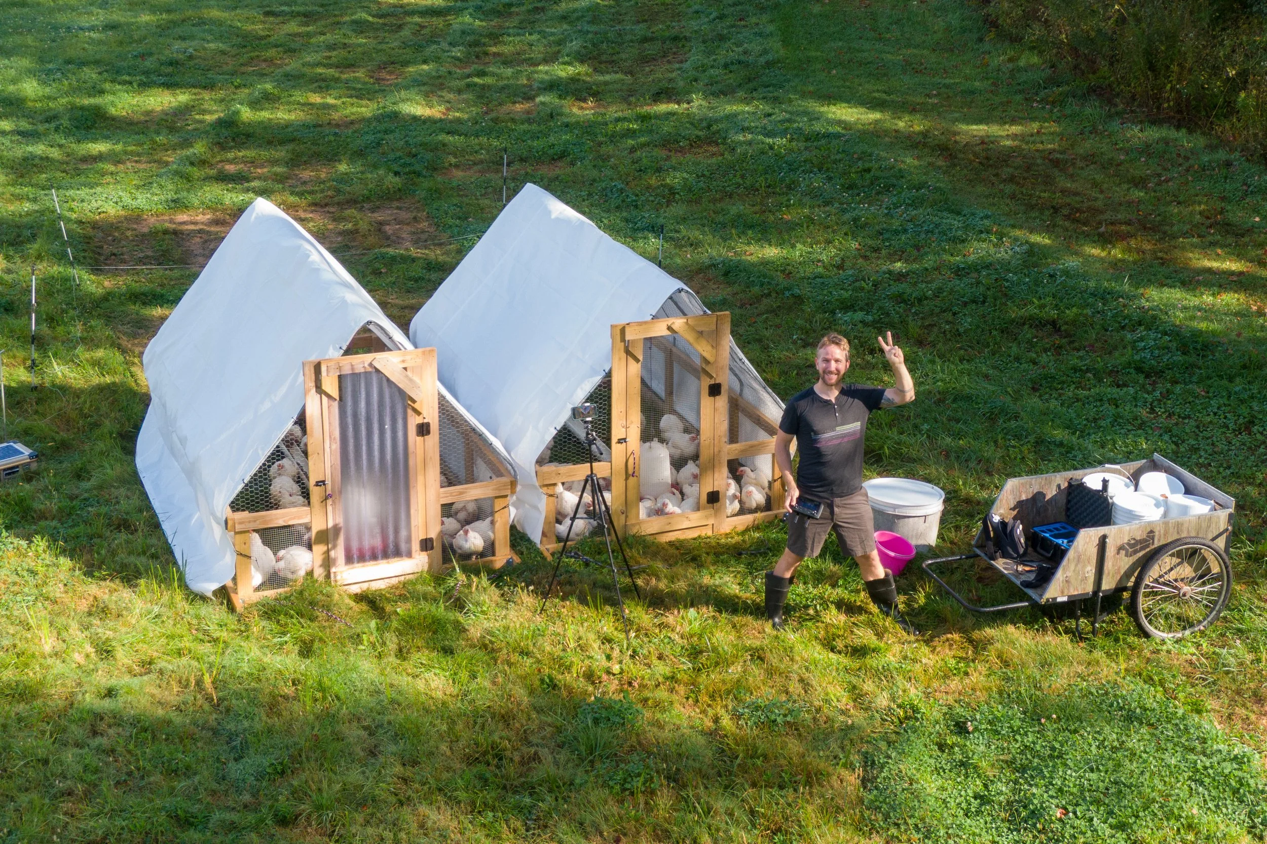john suscovich waving high in front of two chicken tractors