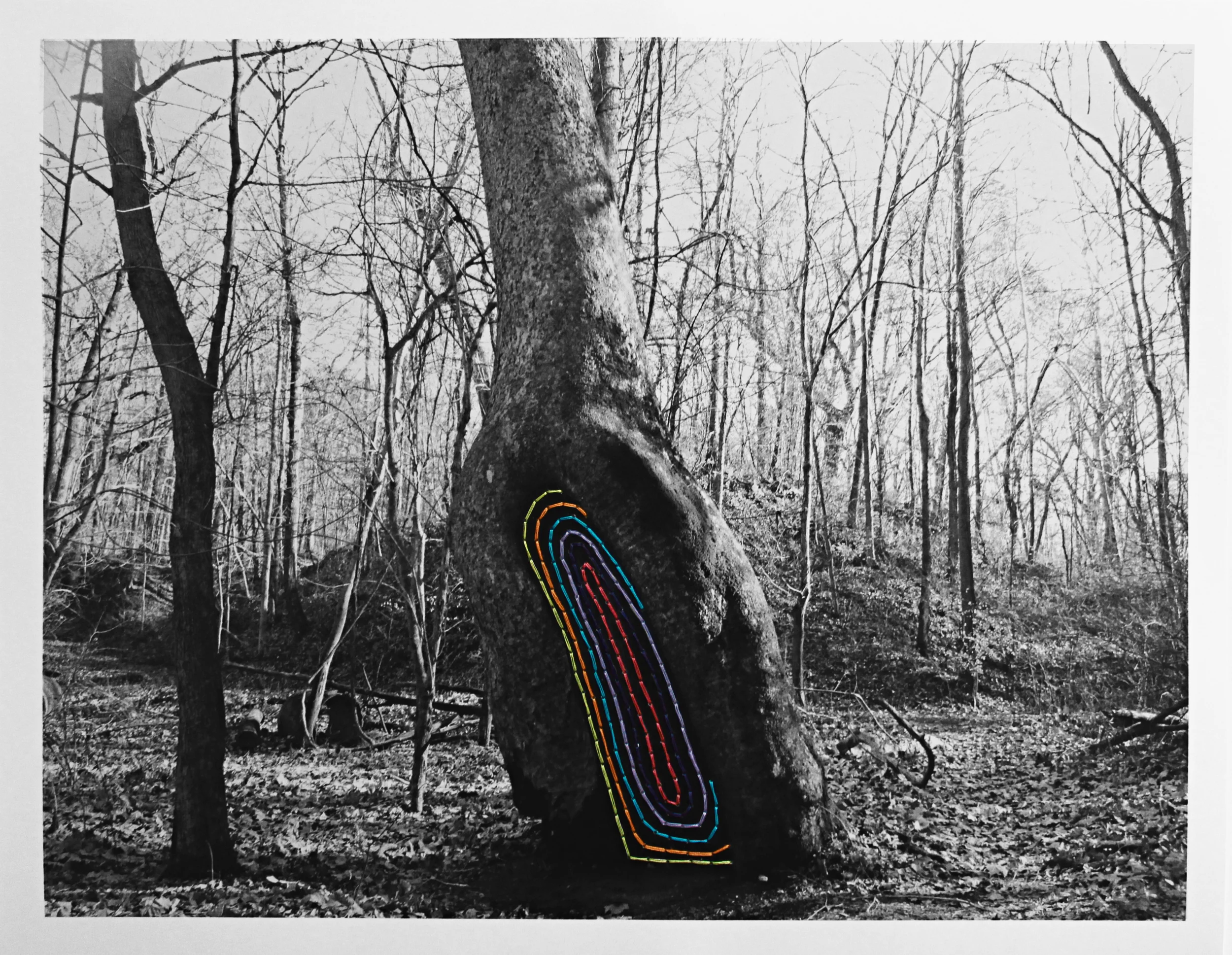 Where Creativity Pools: Fairy Trees