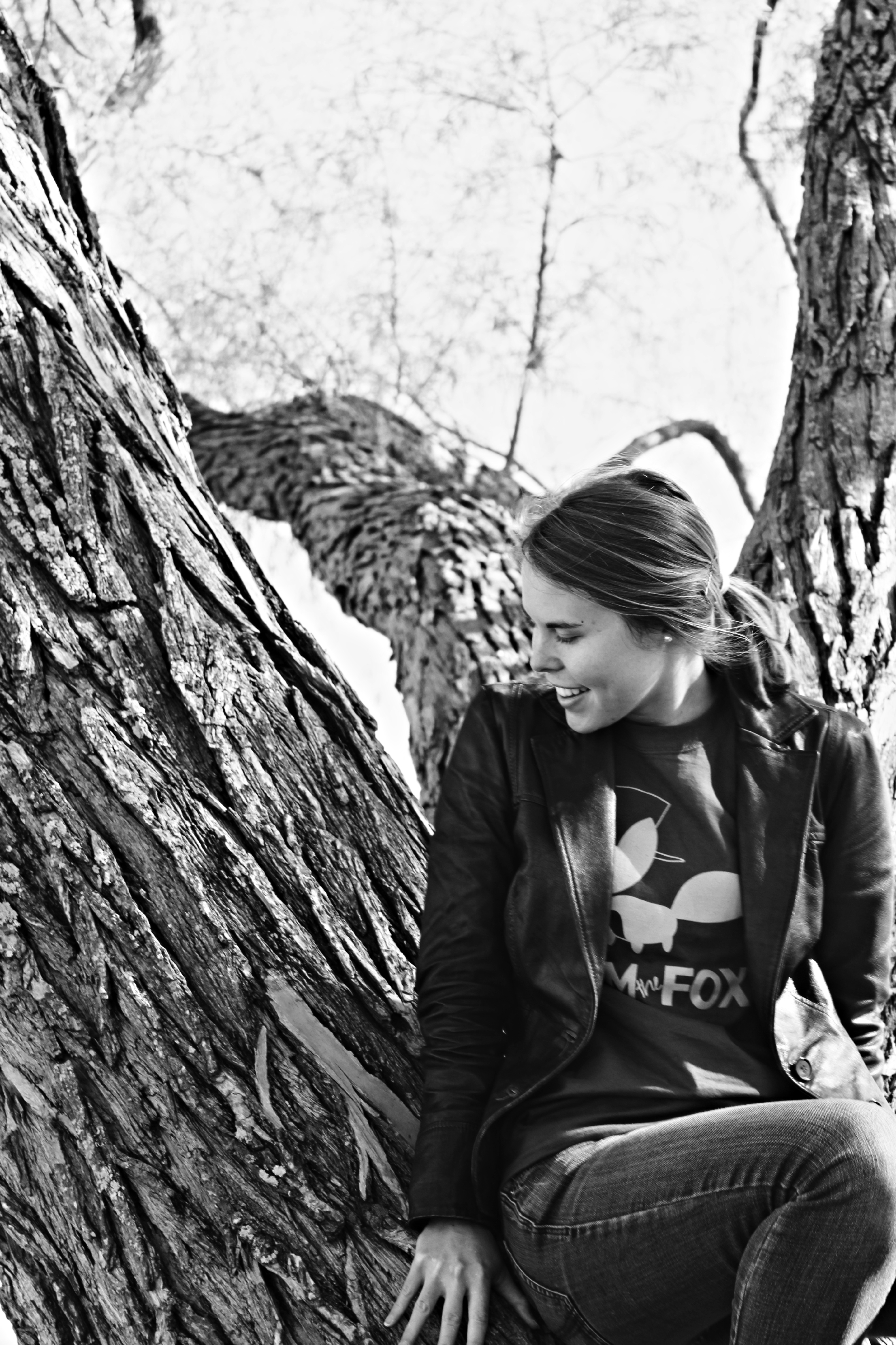 a joyce tree1 dagtype.jpg