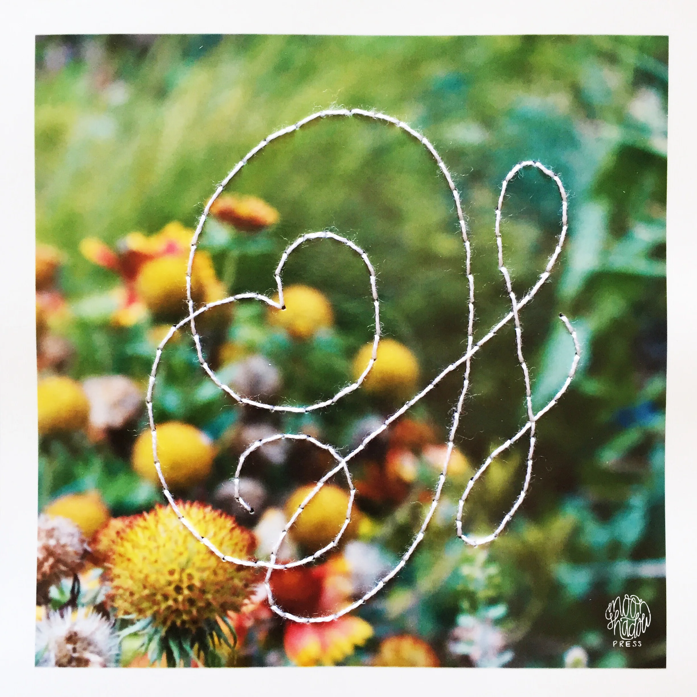 C_FlowersFiligree1b_L.jpg