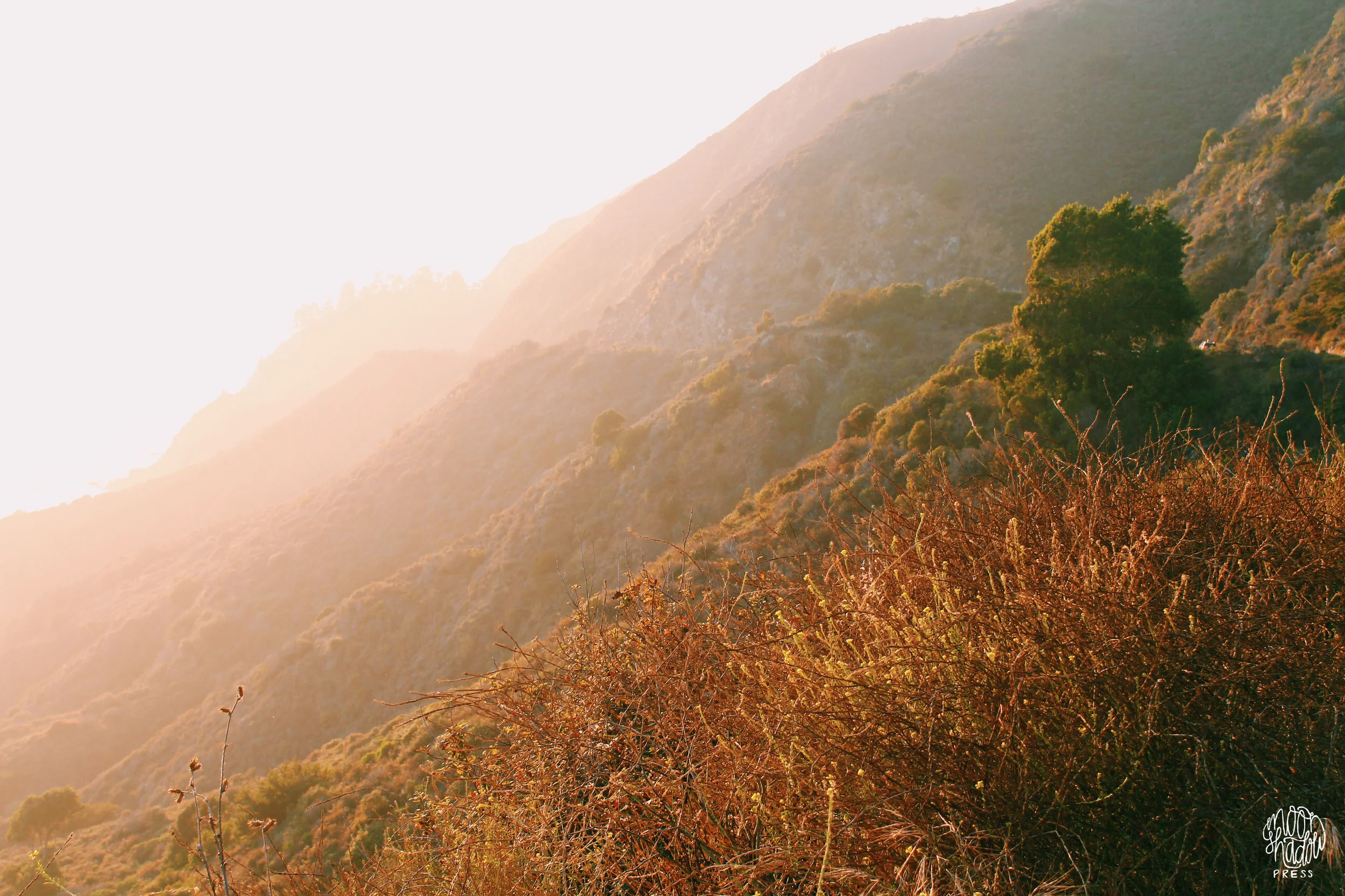 Coast_32L.jpg