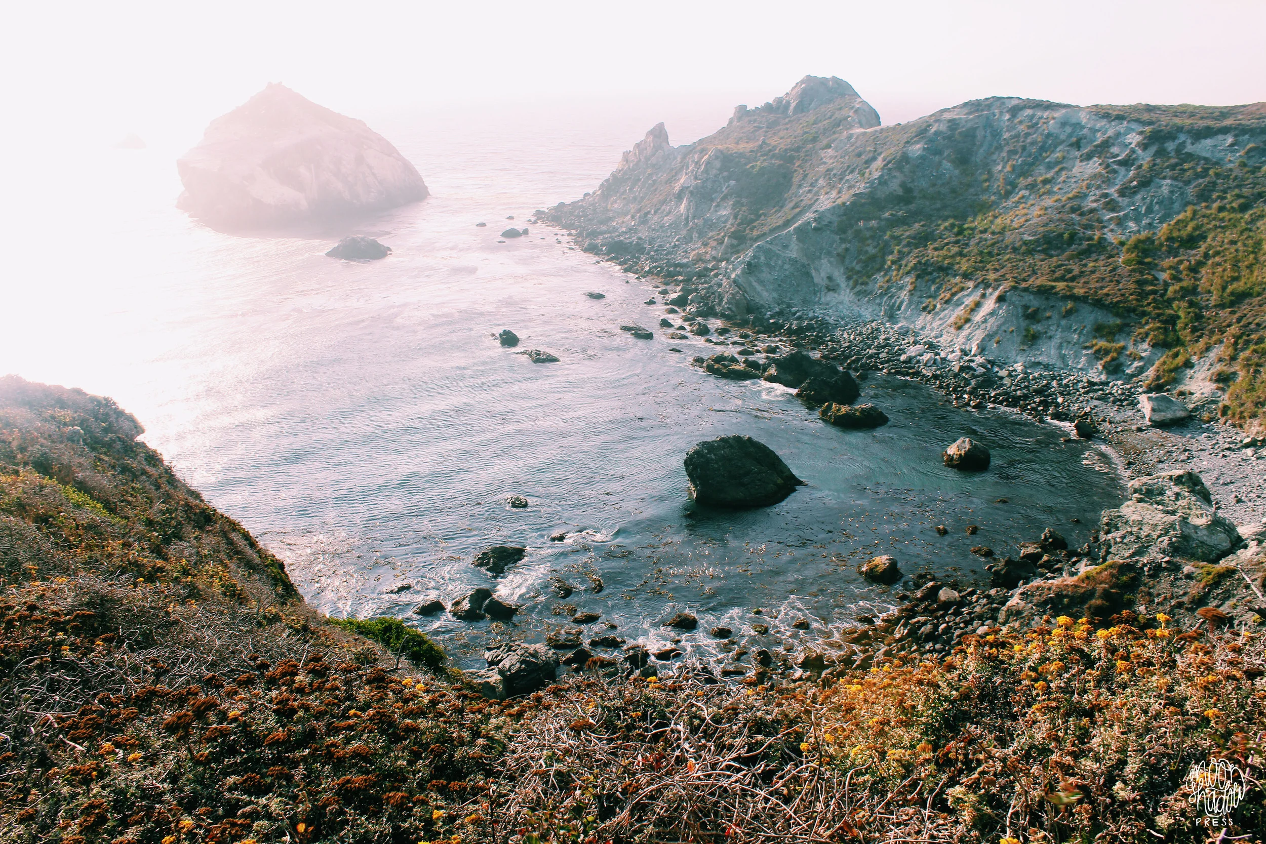 Coast_33L.jpg