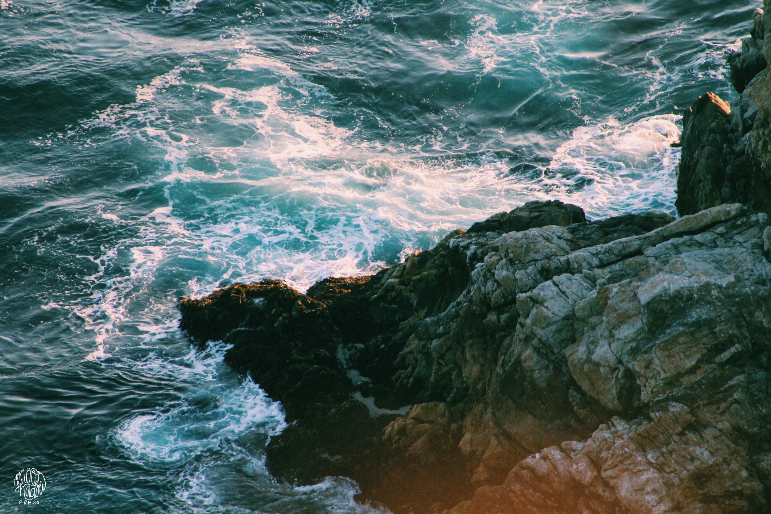 Coast_38L.jpg