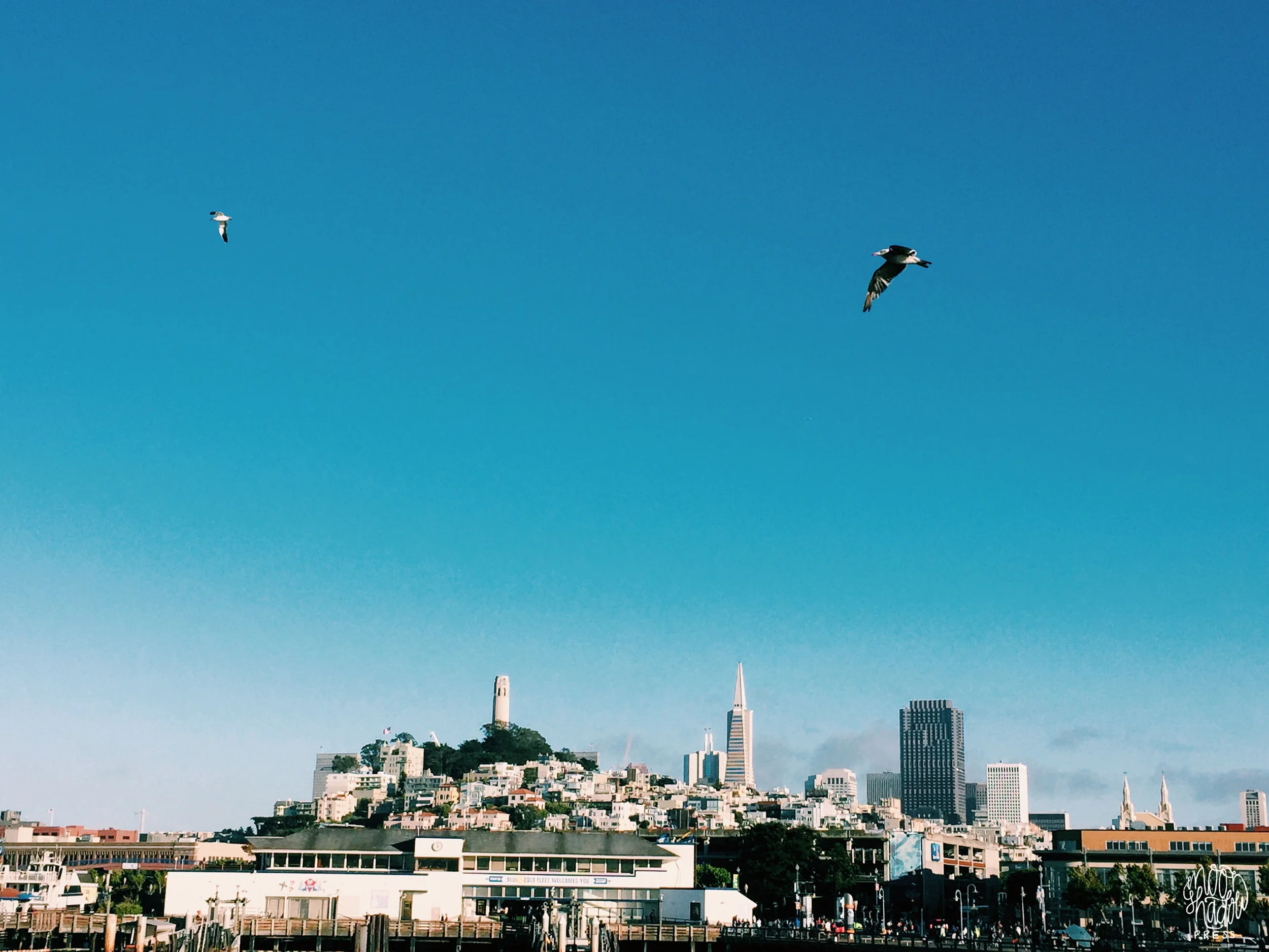 Sf_35L.jpg