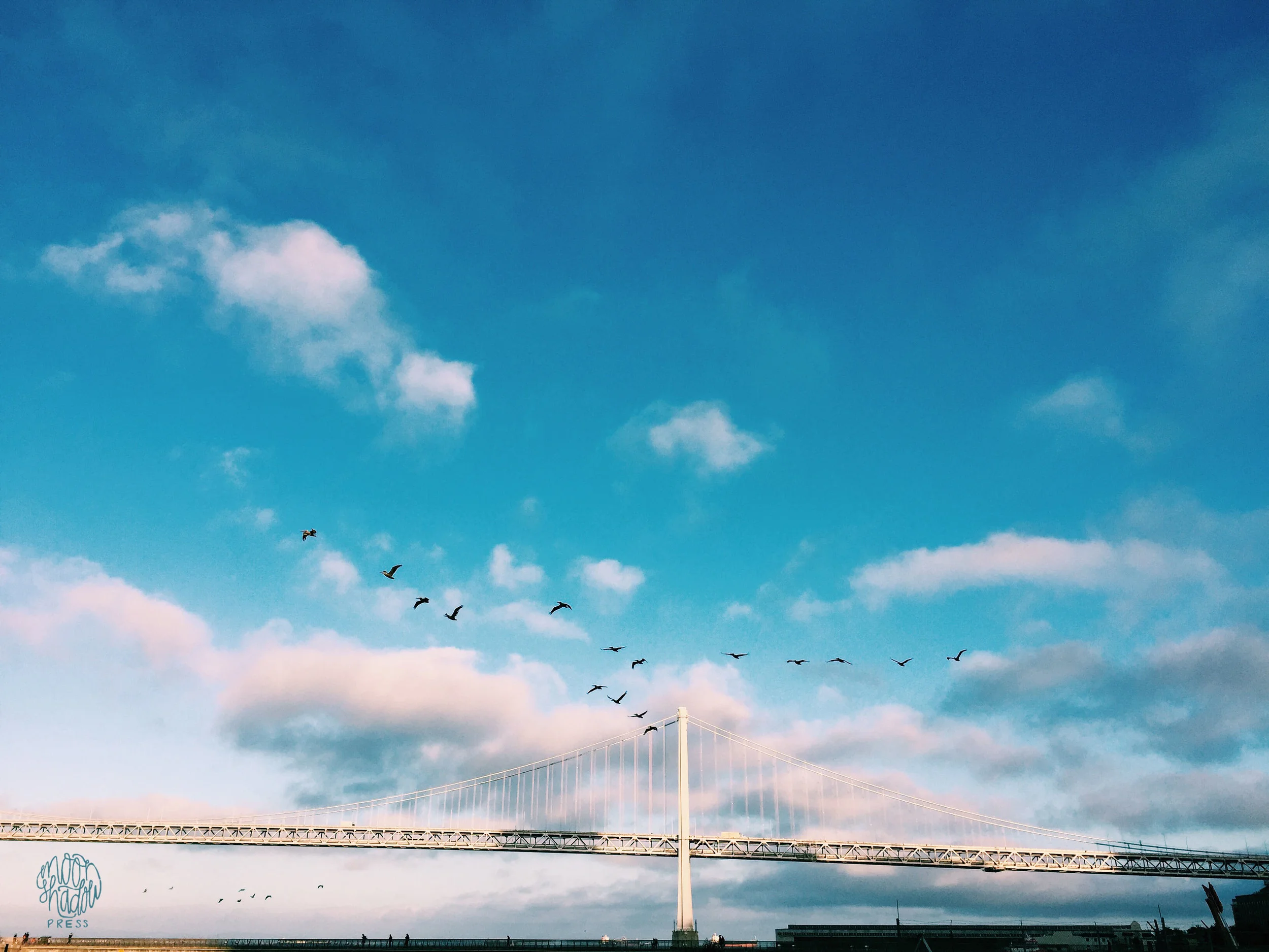 SF_36L.jpg