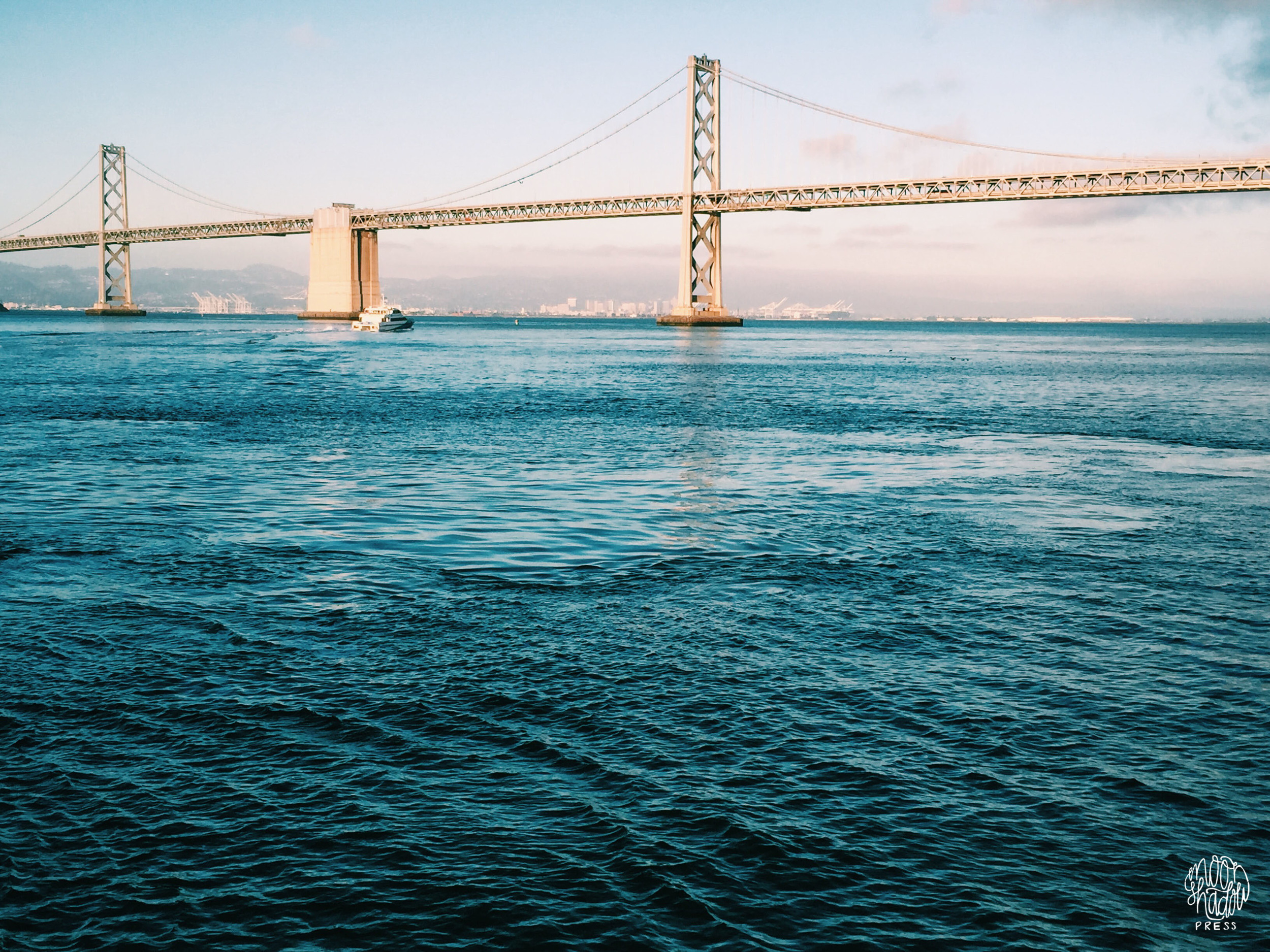 SF_39L.jpg