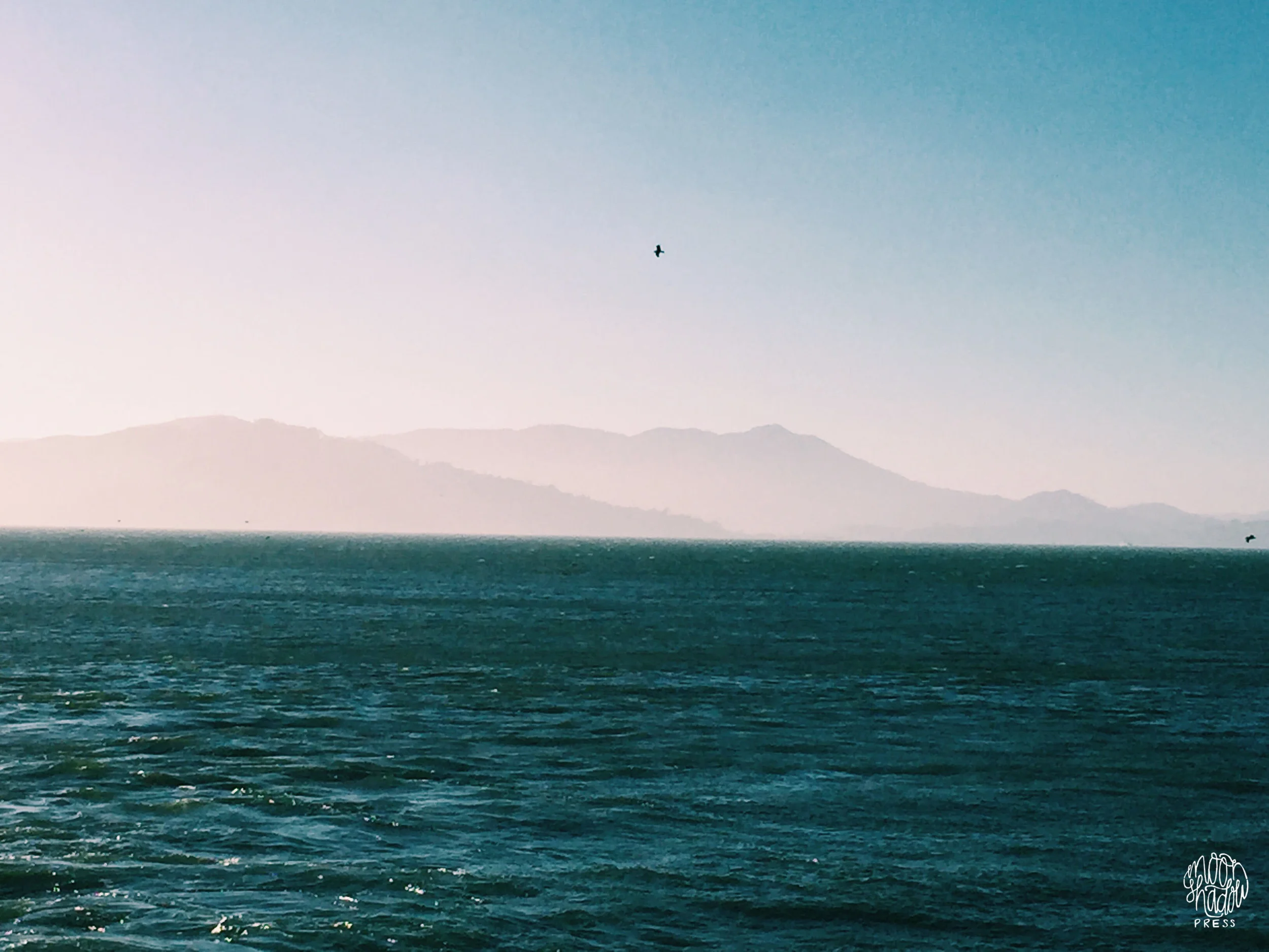 SF_30L.jpg