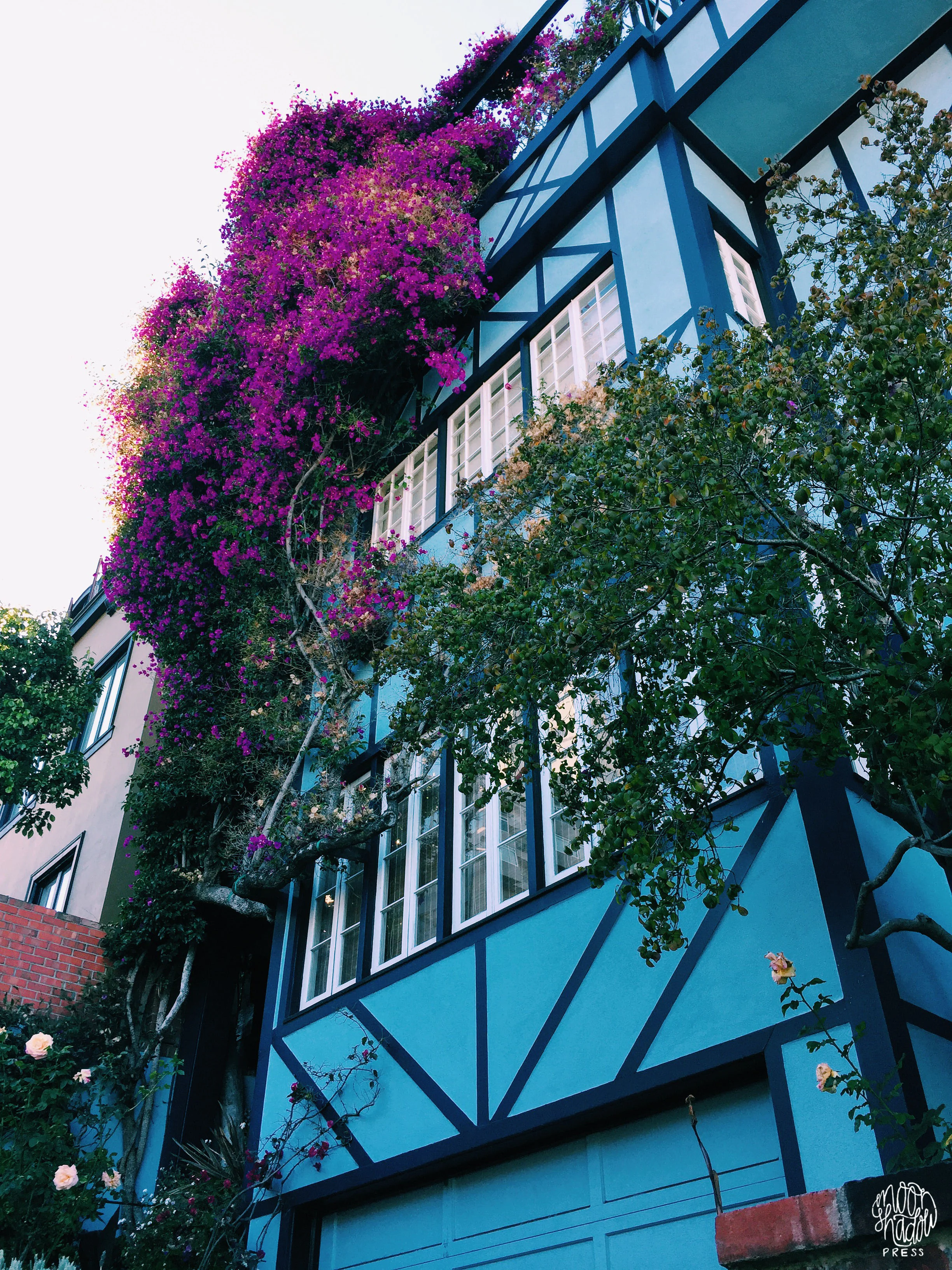 SF_33L.jpg
