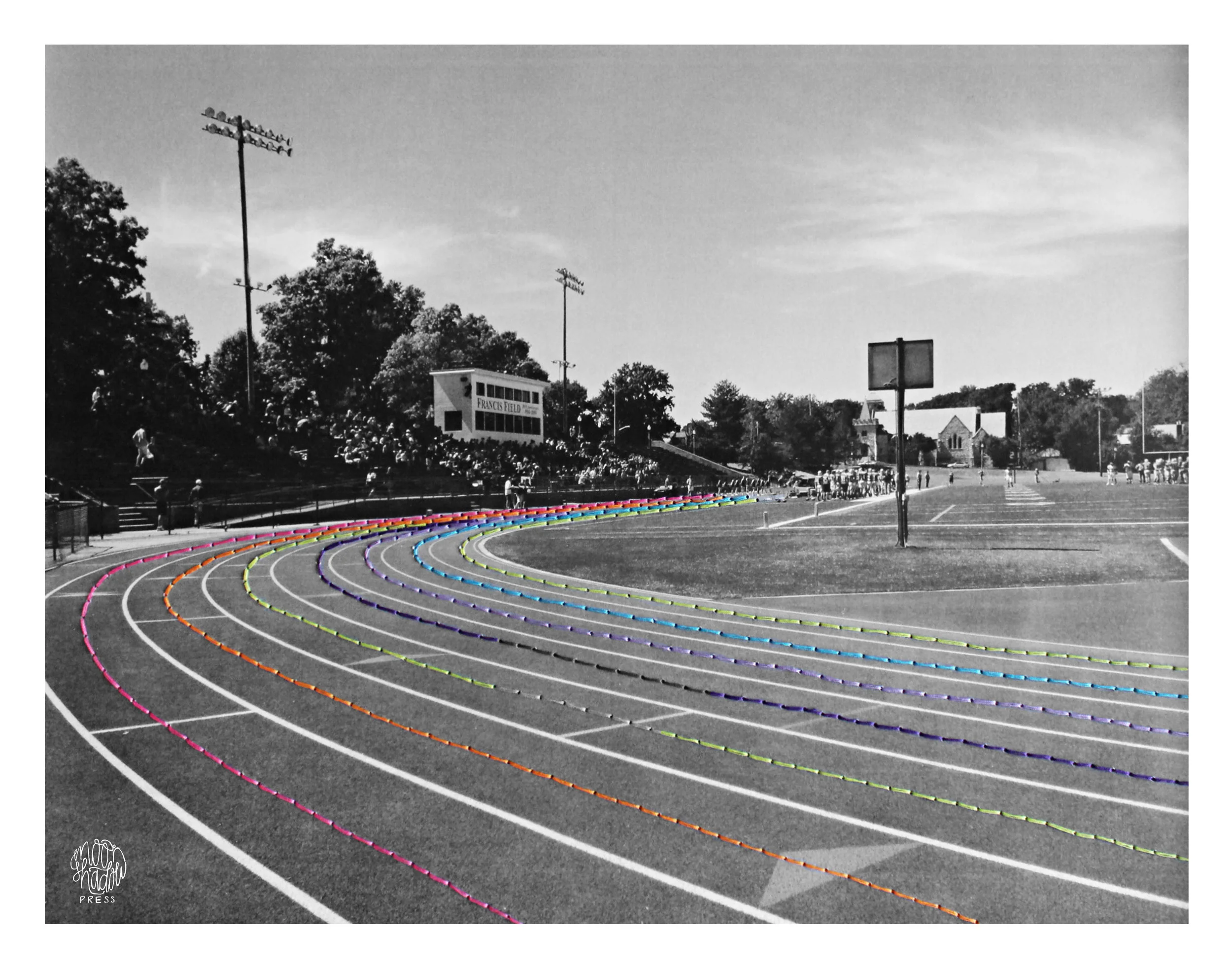 Bridges: Francis Field (2014)