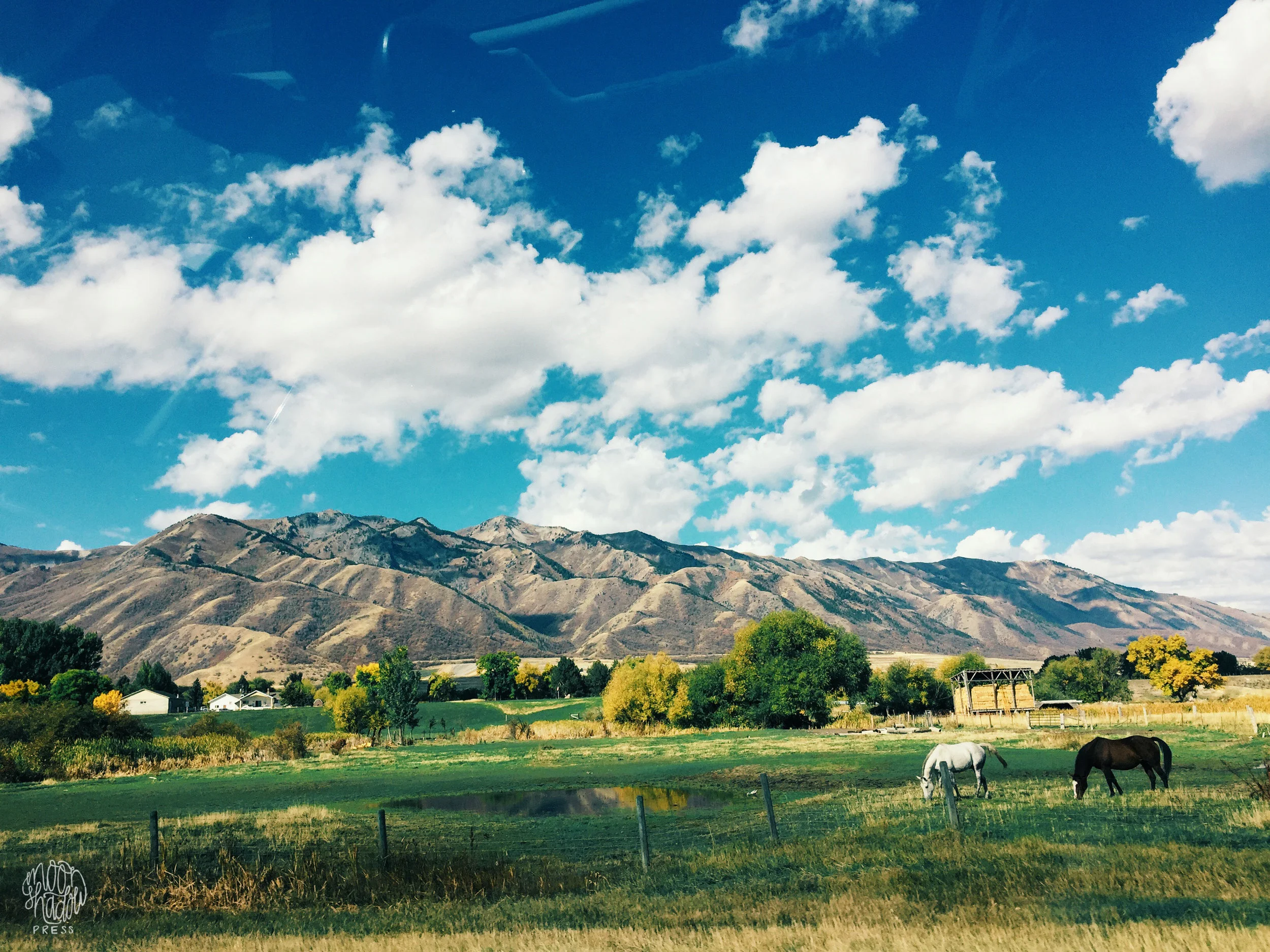 A_Utah_L11.jpg