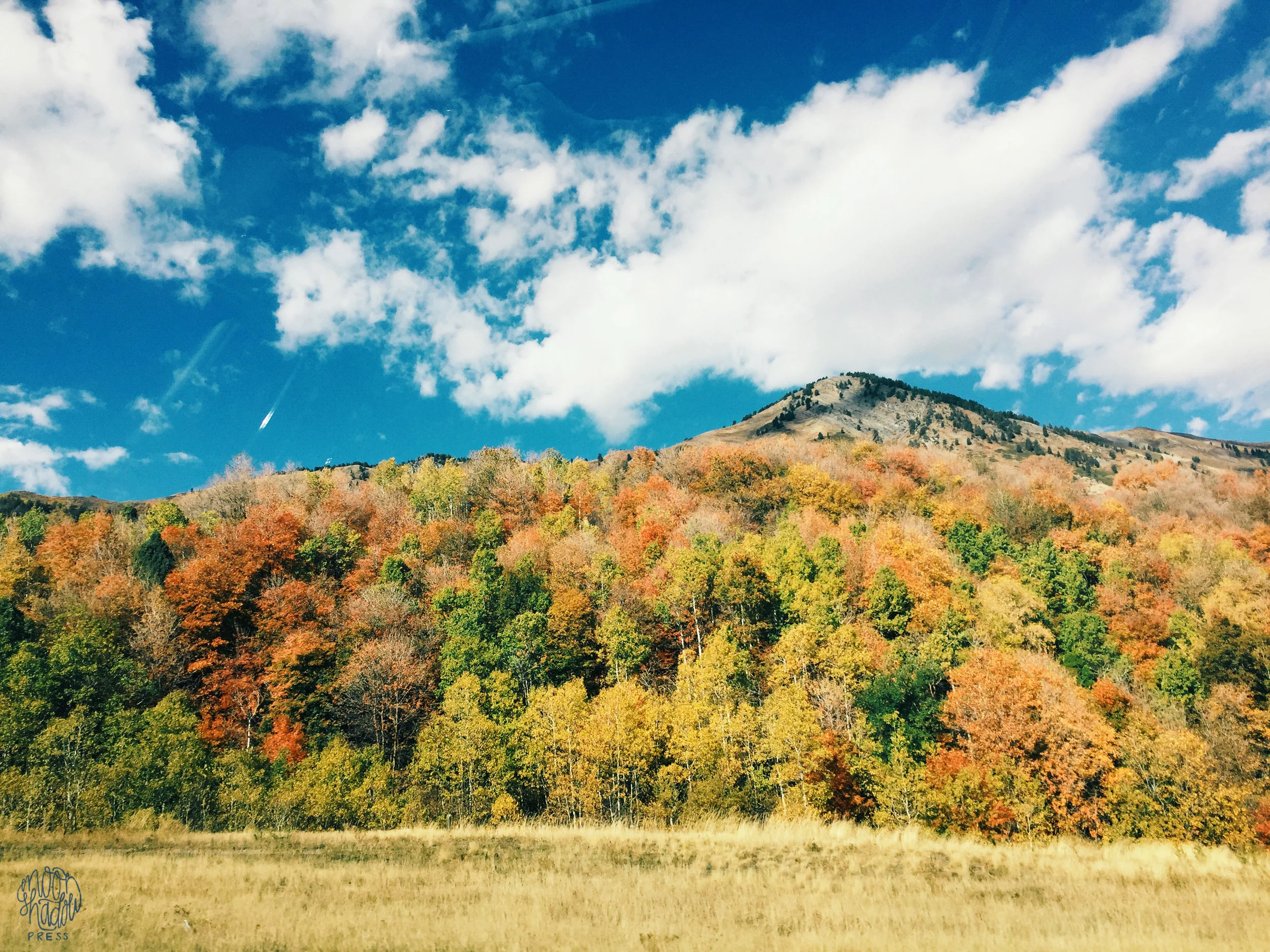 A_Utah_L14.jpg