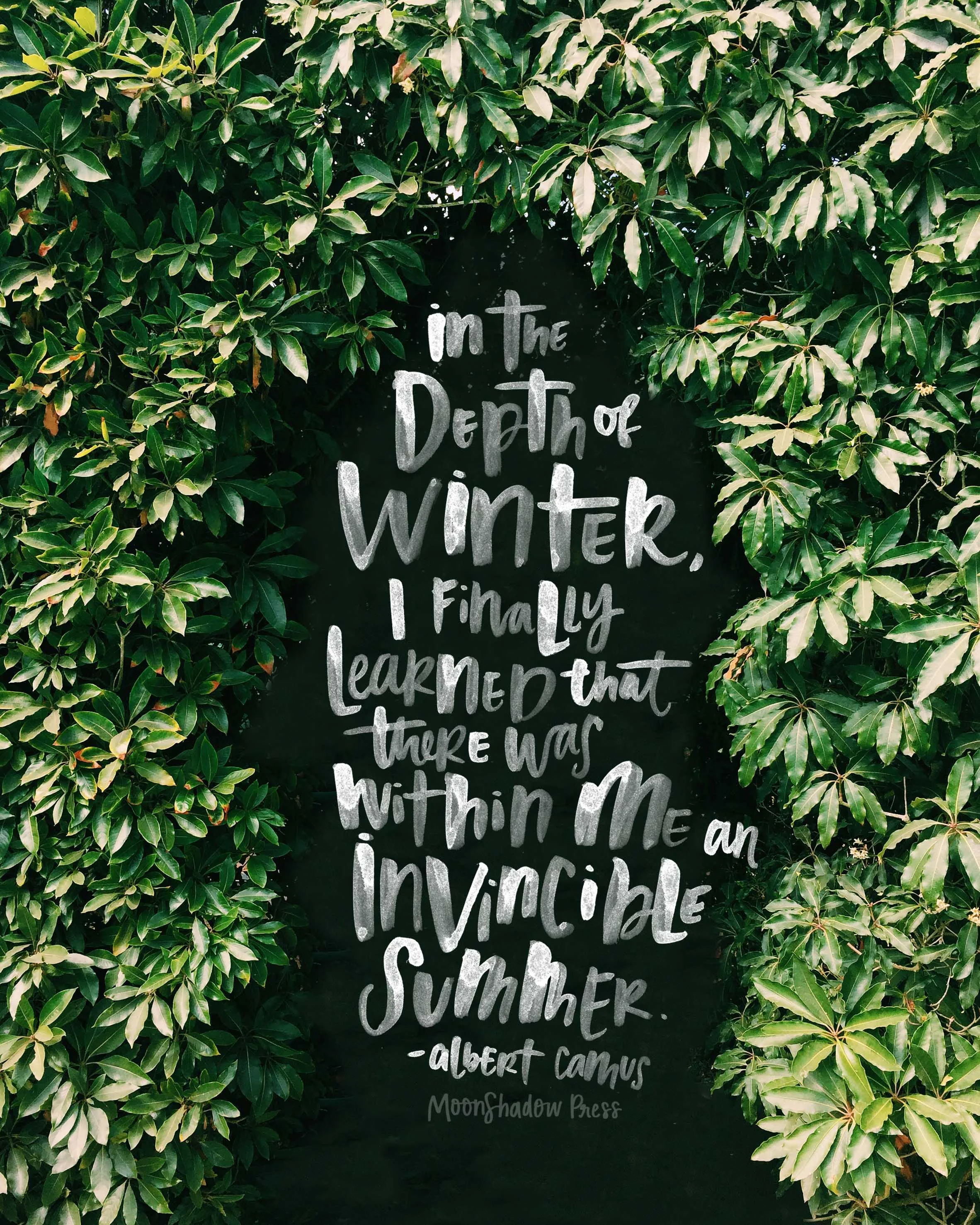 A_summerinside1L.jpg