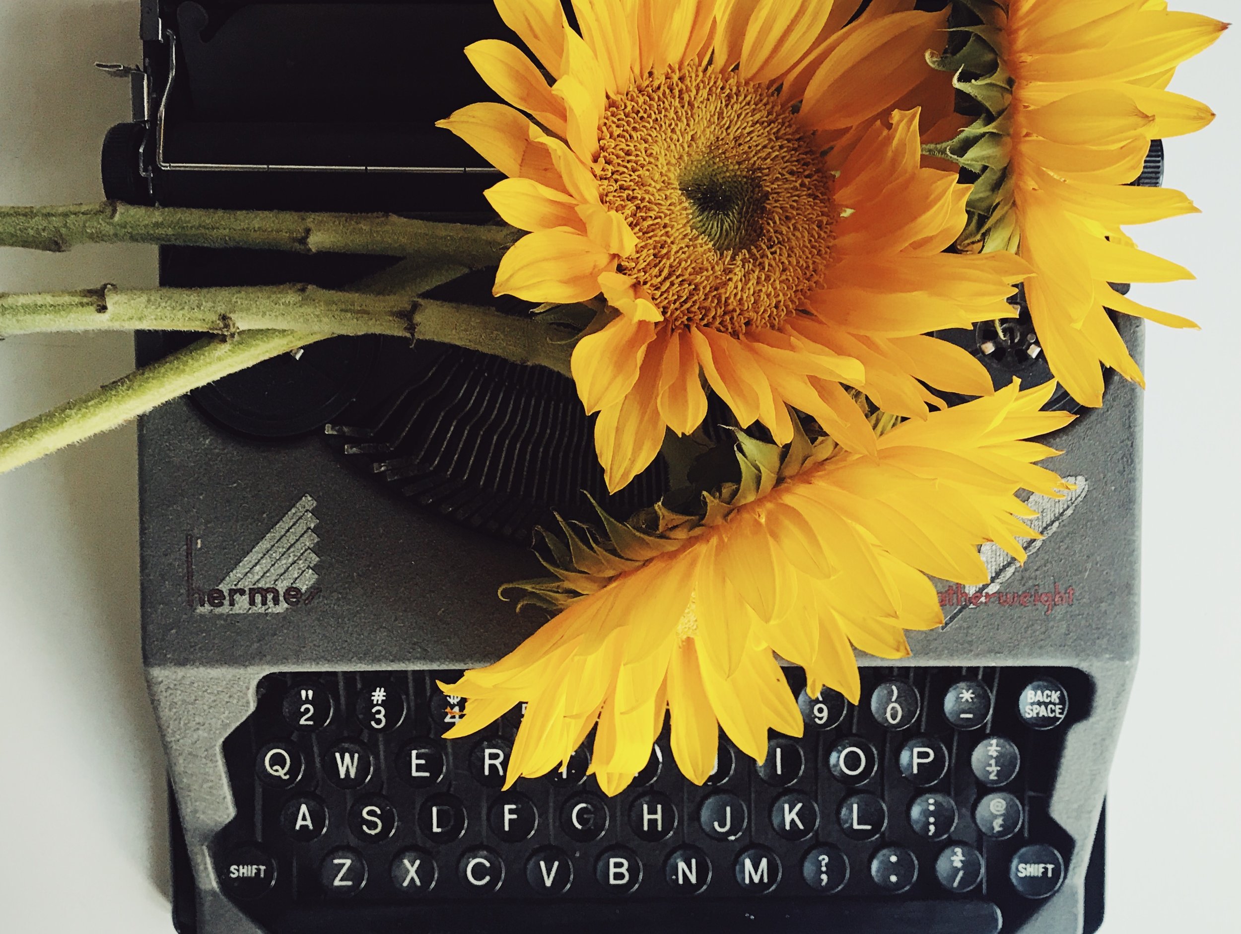 Image result for typewriter with flowers