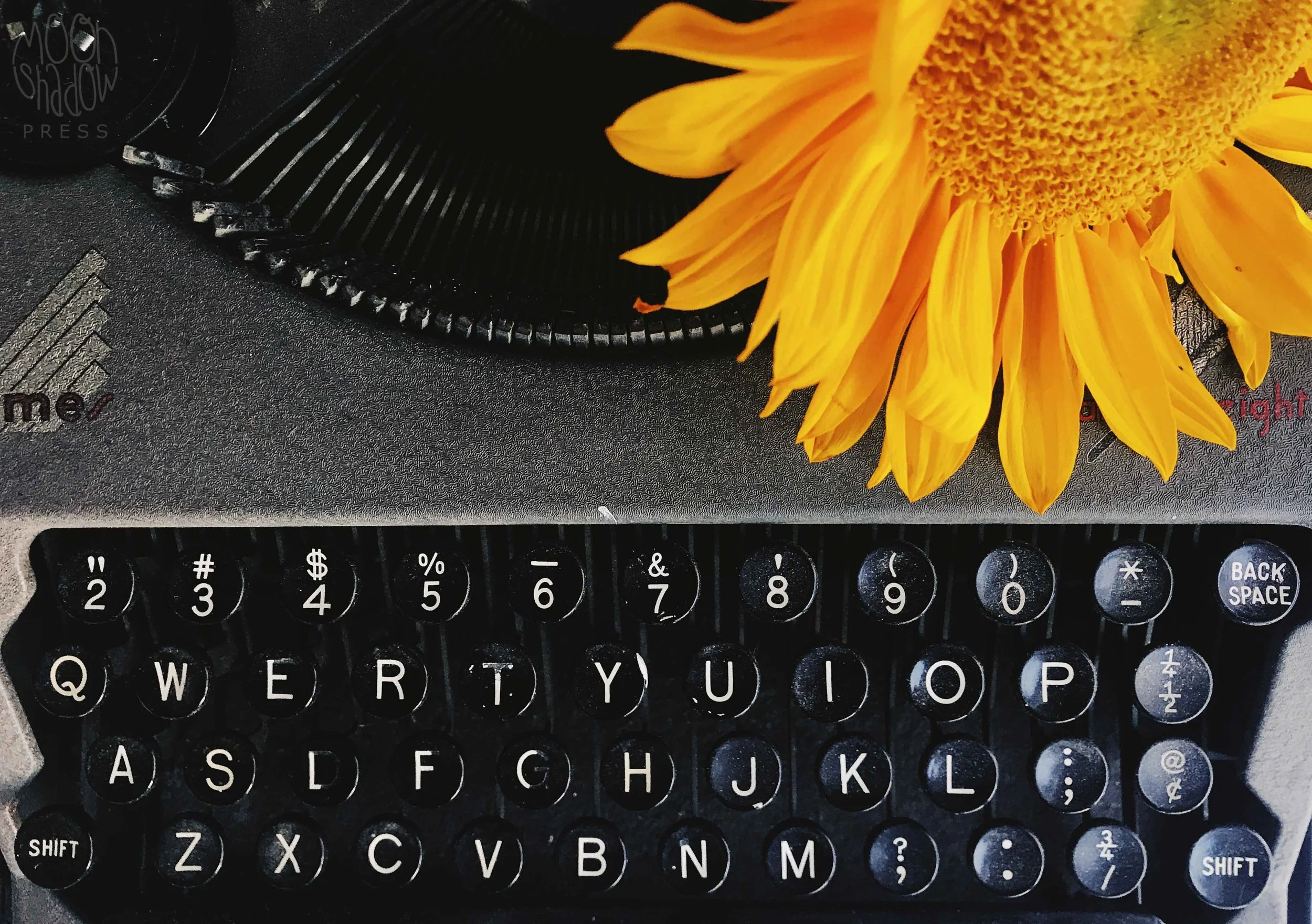 Sunflowers3L.jpg