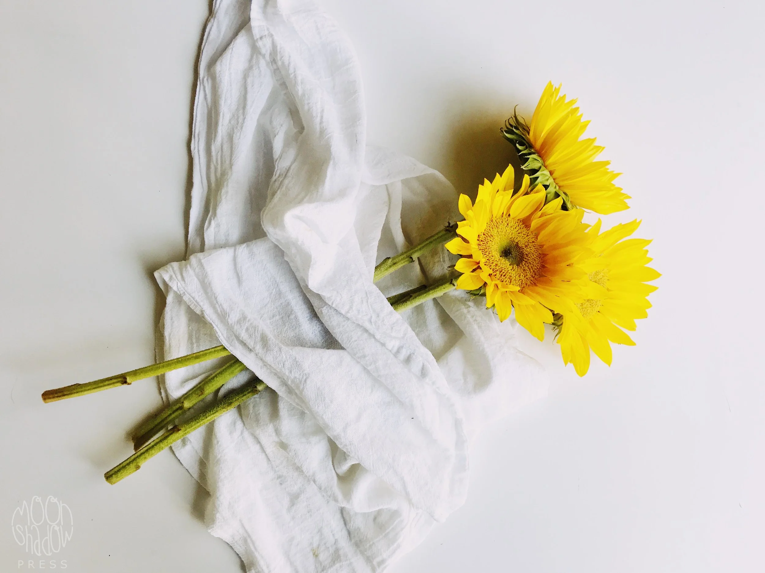 Sunflowers19L.jpg