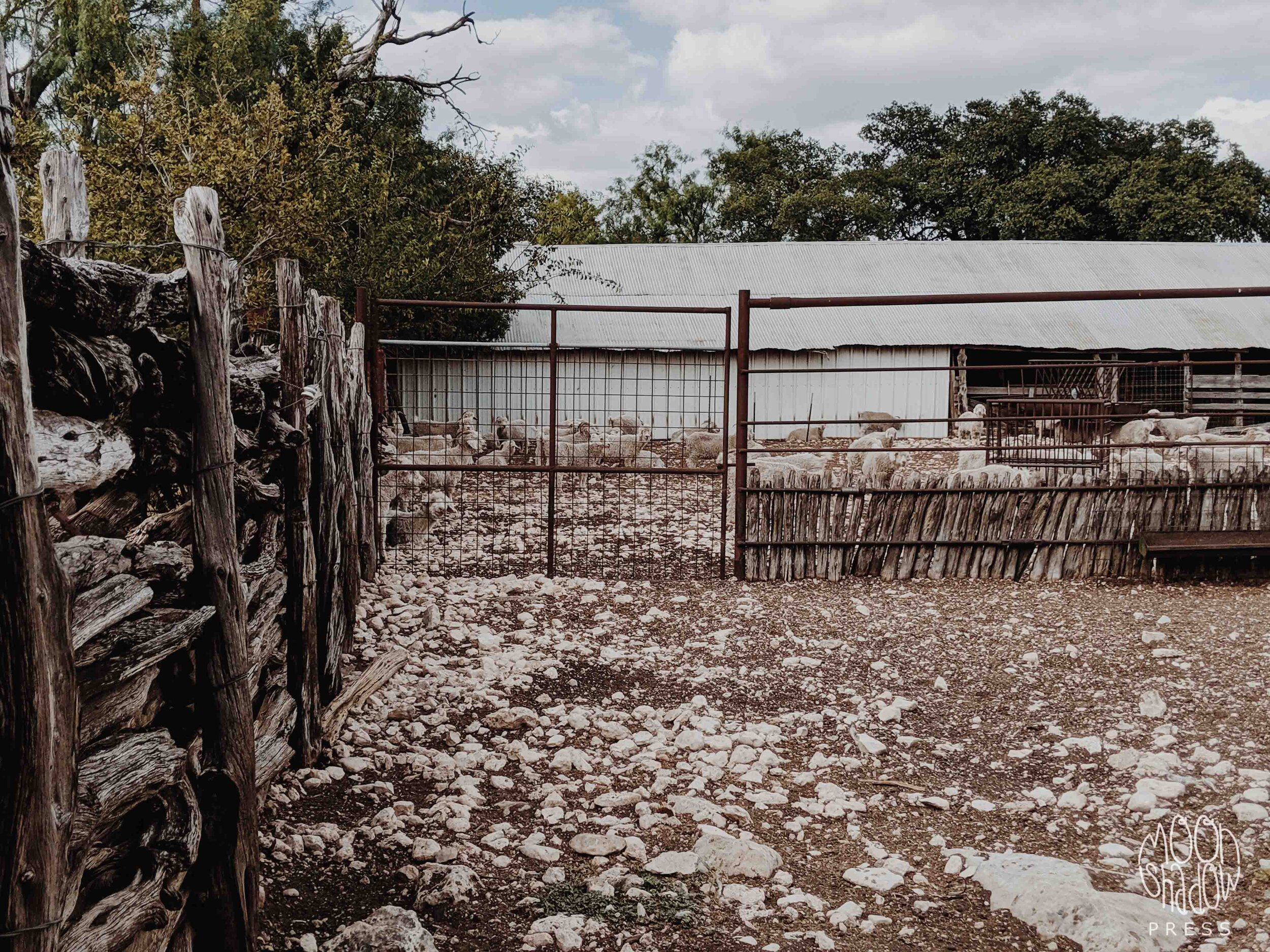 RossRanch28L.jpg