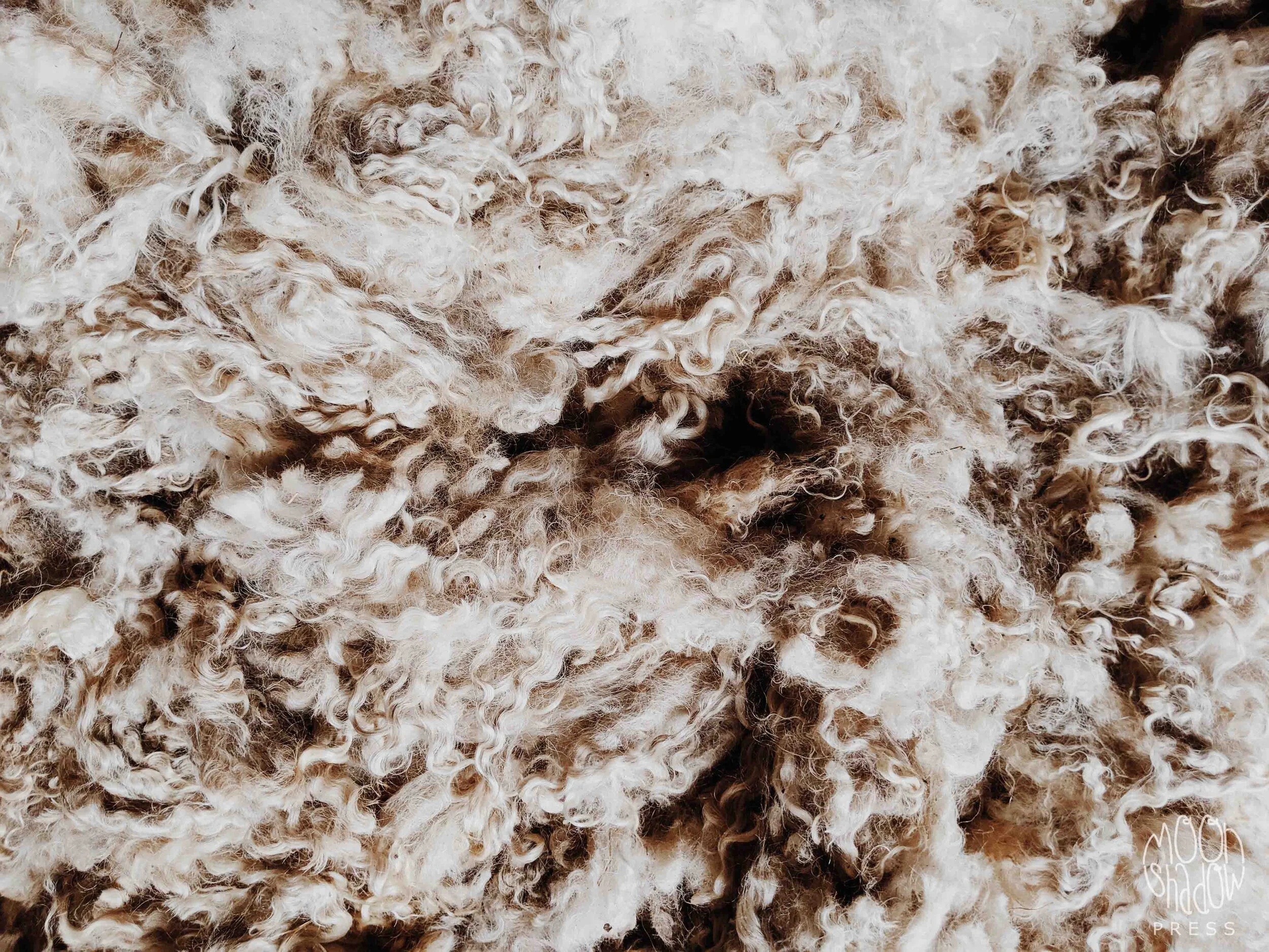 RossRanch30L.jpg
