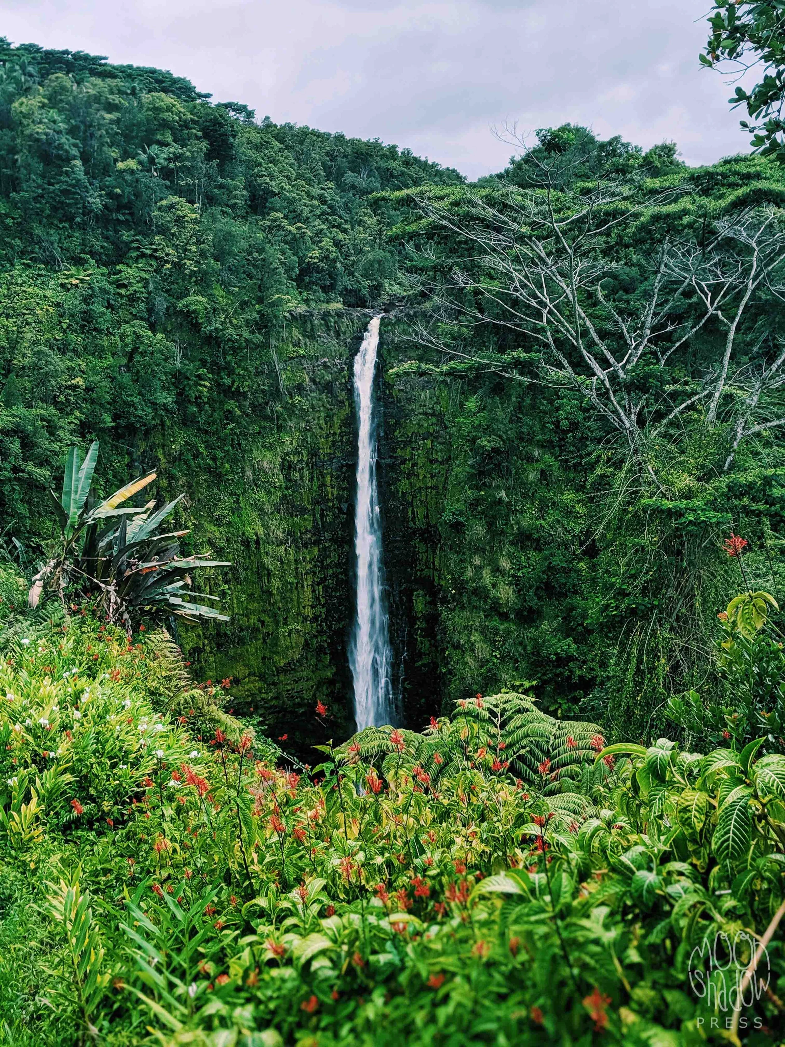 H-Waterfall23L.jpg